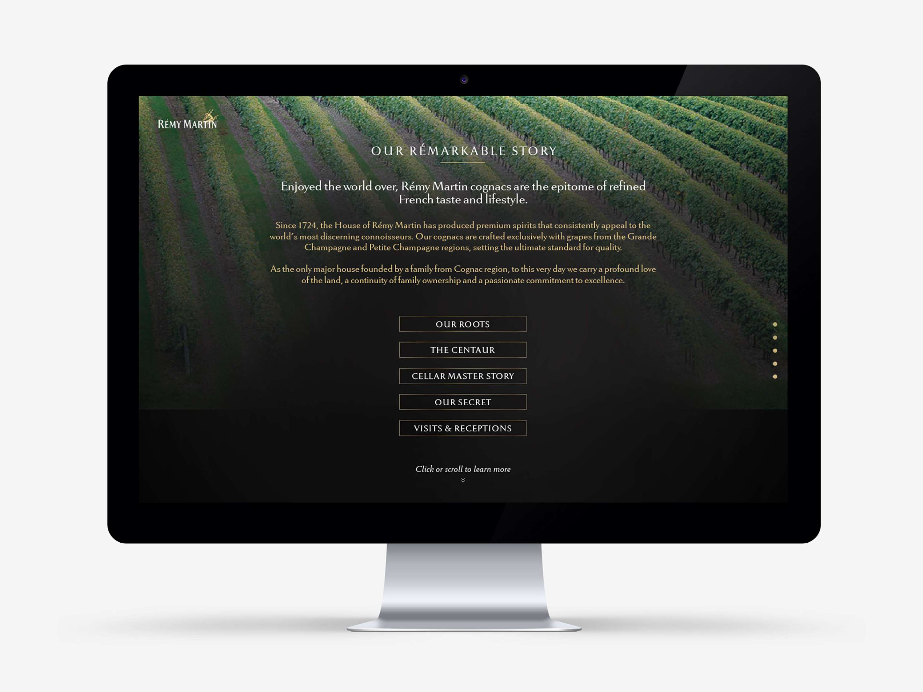 Rémy Martin US Website Design by Angel Zhang