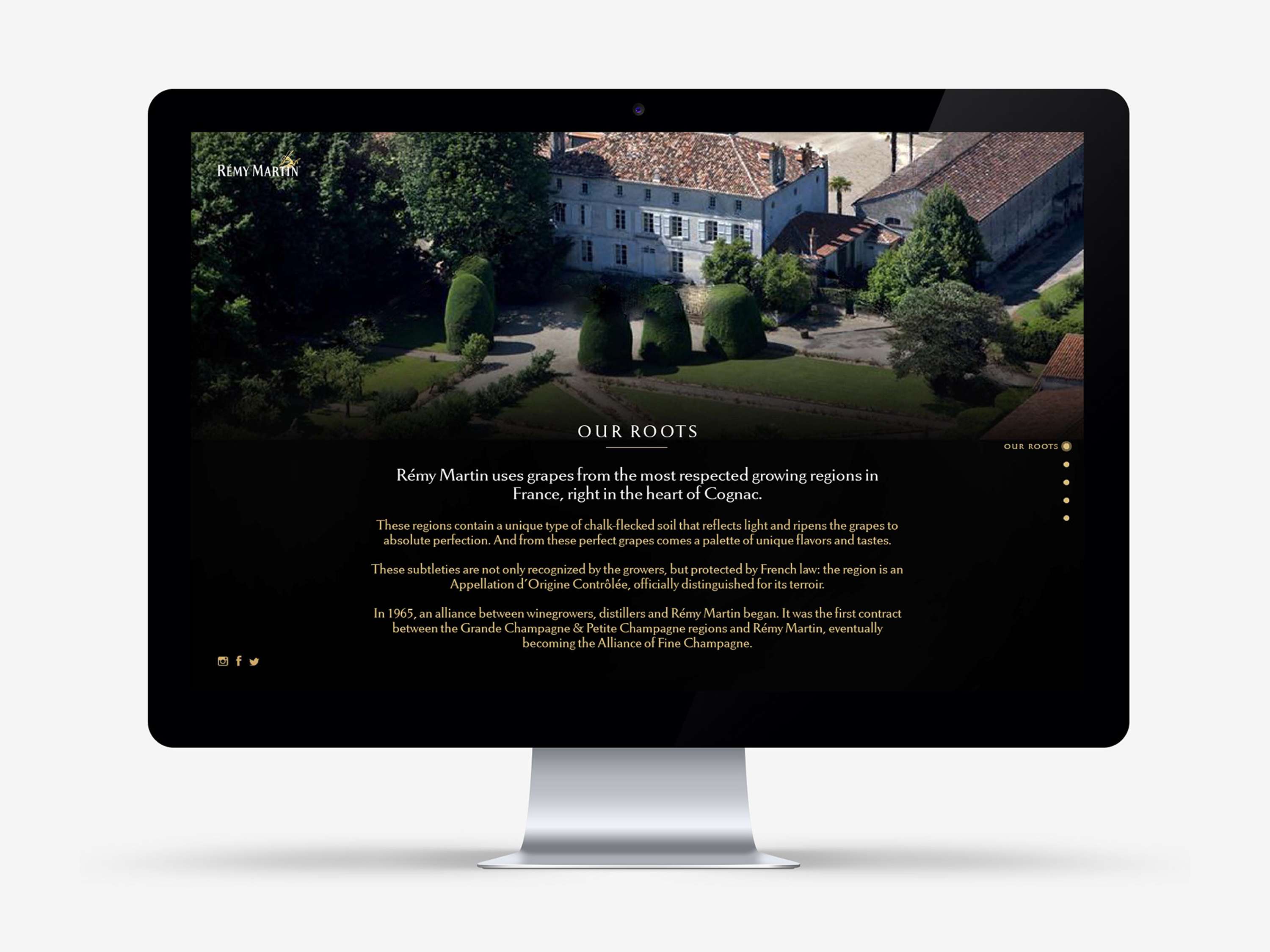 Rémy Martin US Website Design by Angel Zhang