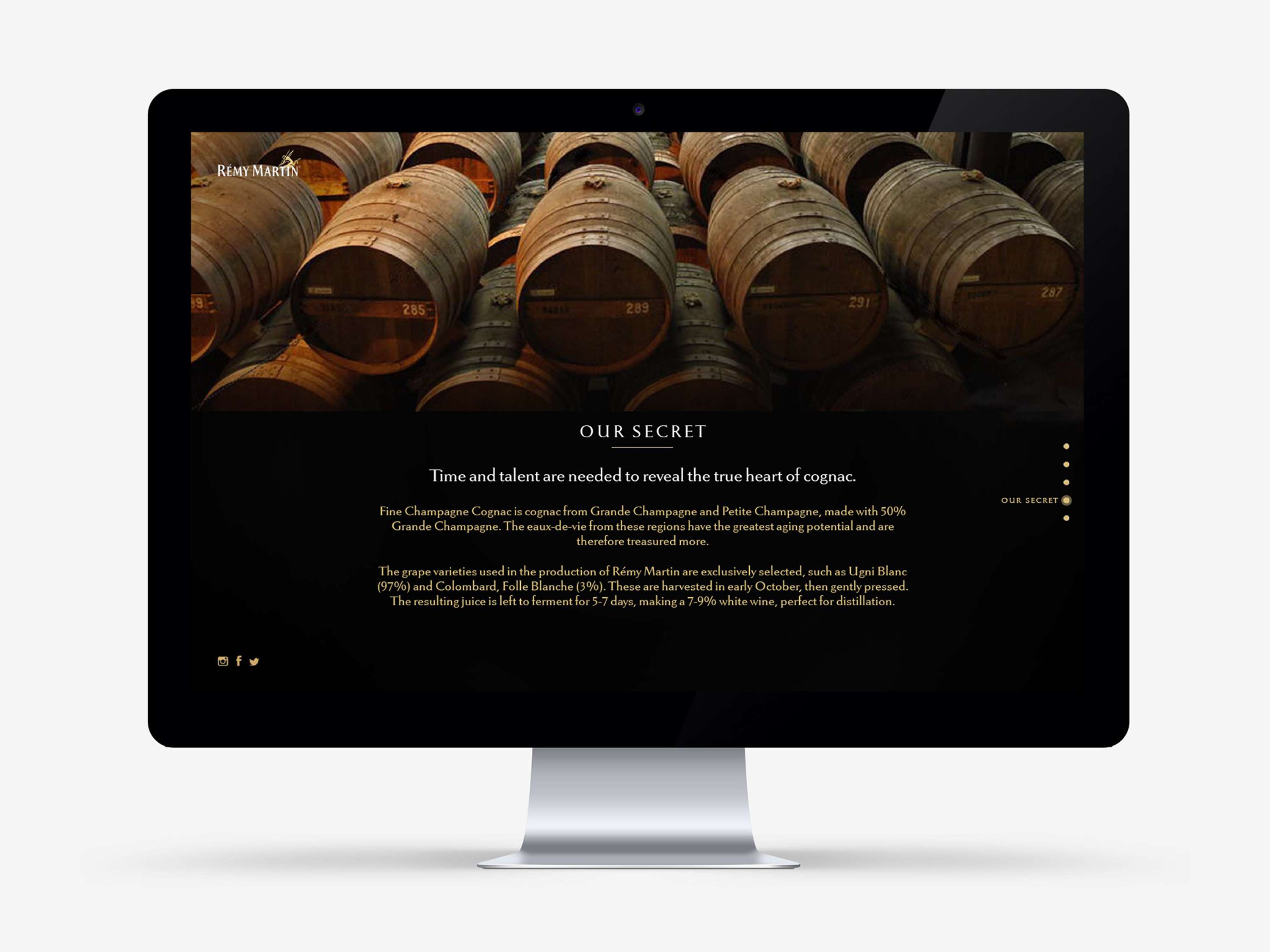 Rémy Martin US Website Design by Angel Zhang