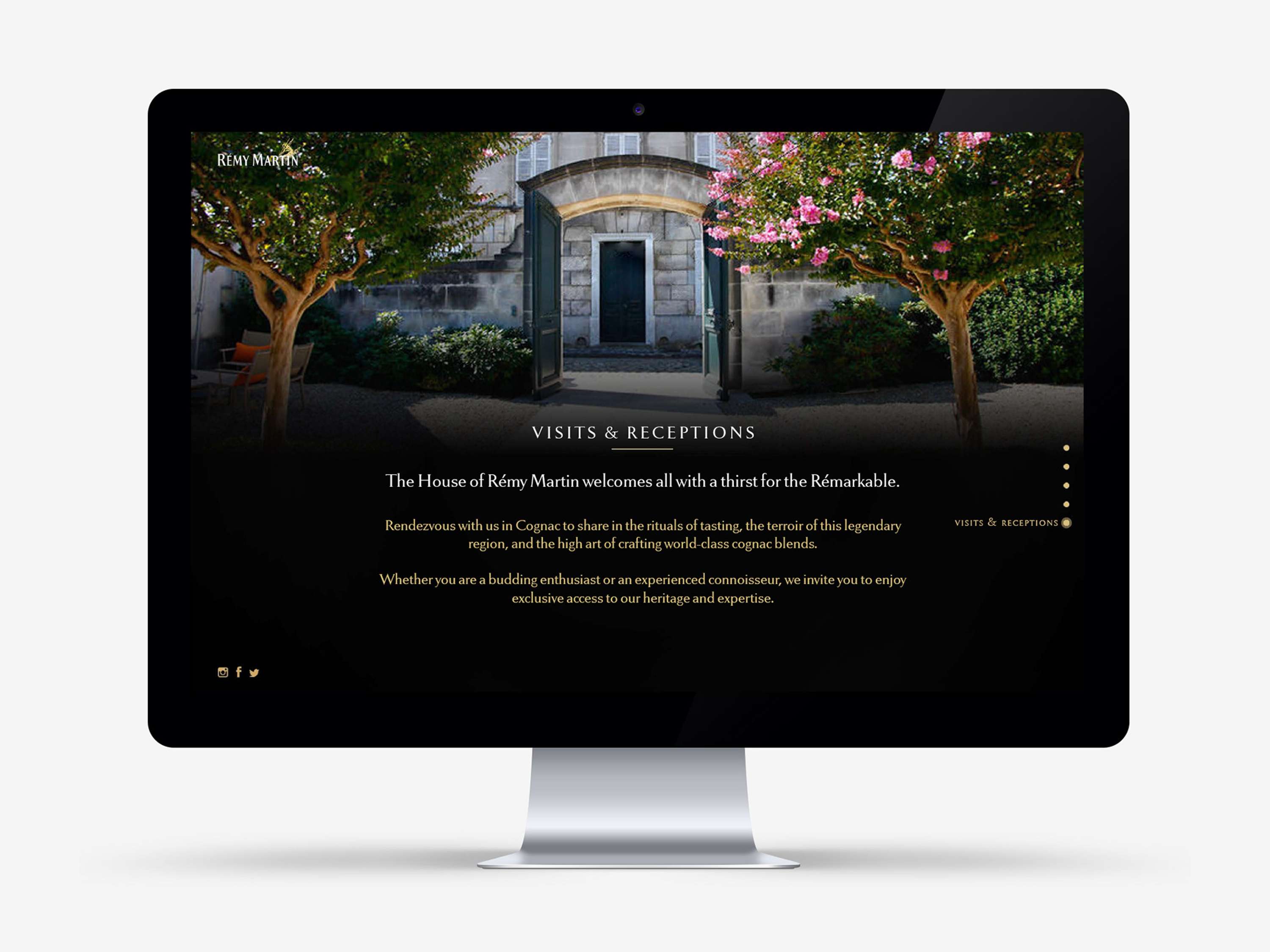 Rémy Martin US Website Design by Angel Zhang