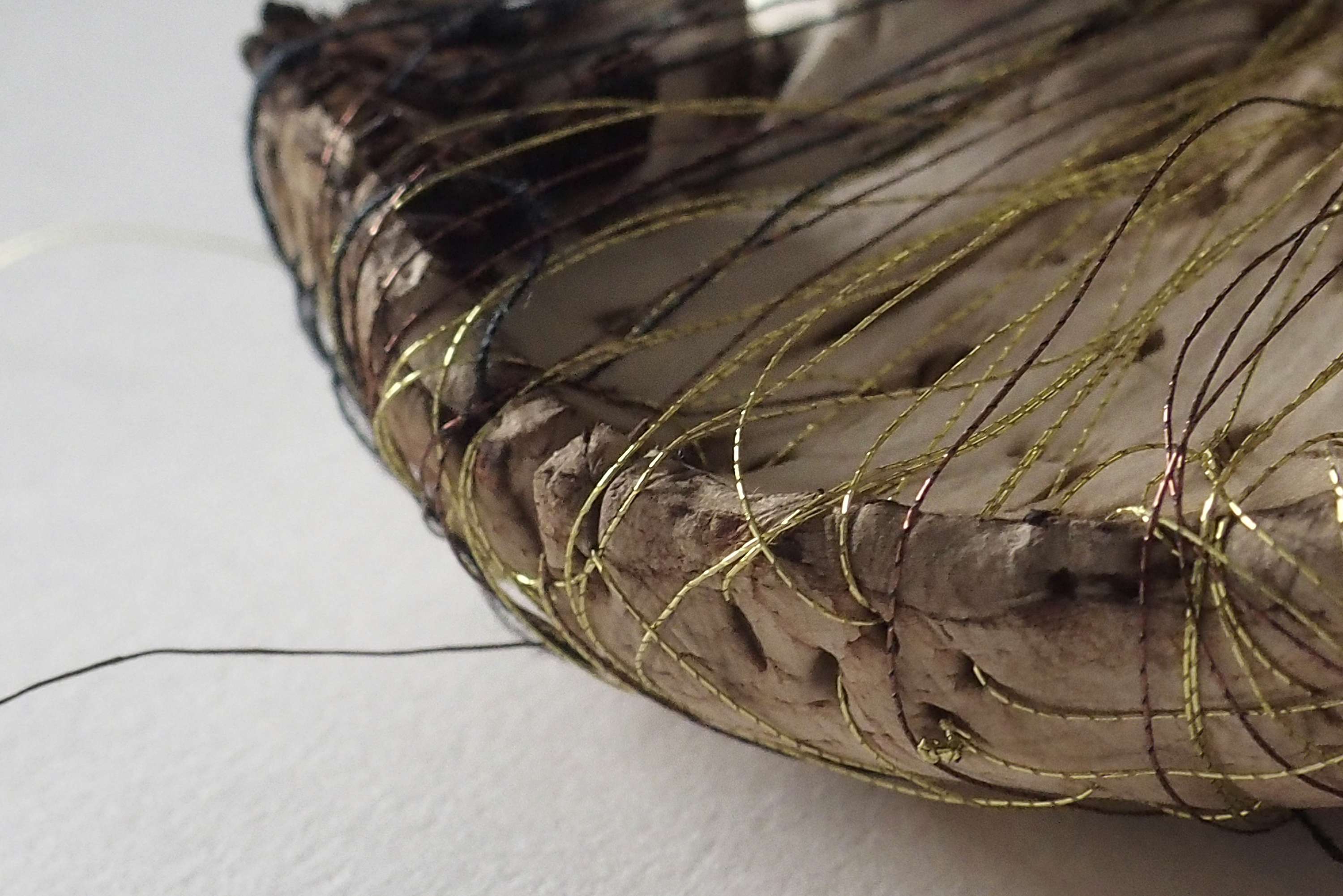 MA Final Project Work - Sculptural Data (Mushroom Experiments) by Nina Lewis