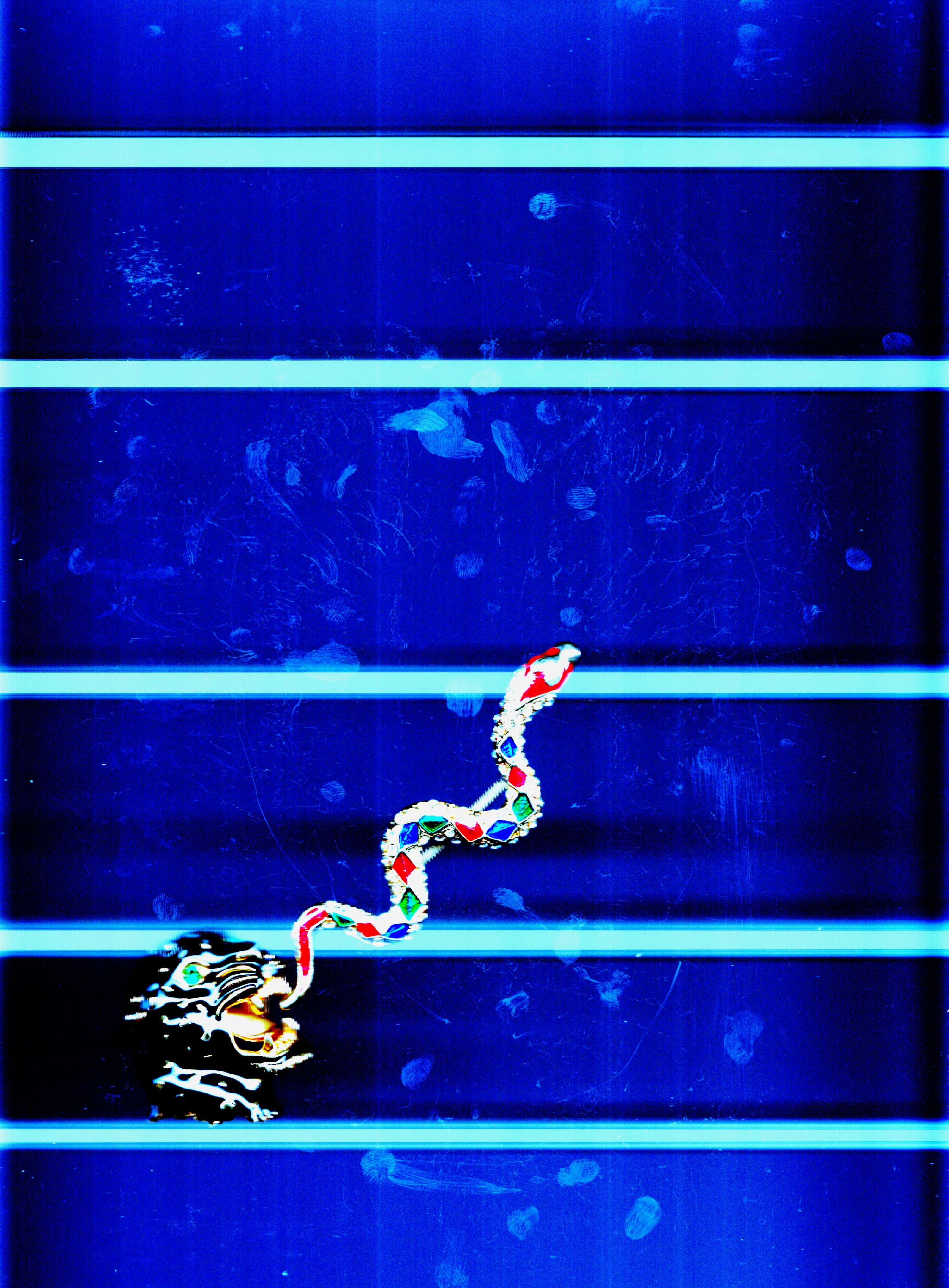 PROJECT: EXPERIMENT by Chris Rosser