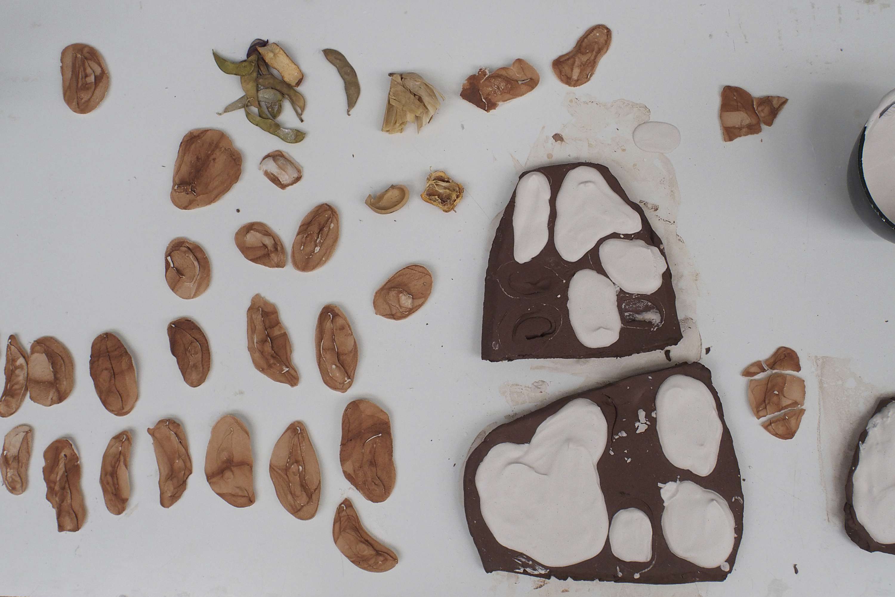 MA Final Project - Sculptural Data: Plaster Experiments & Making Process by Nina Lewis