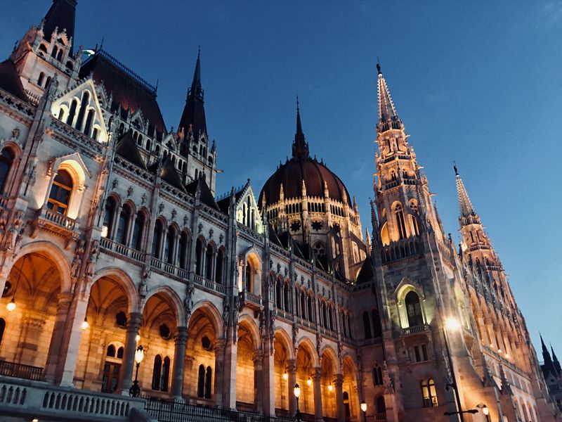 Buda or pest ? by Maisy Wyatt