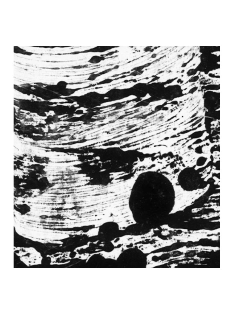 SERIGRAPHY - École nationale supérieure des beaux-arts de Lyon by Otilija Tamulyte
