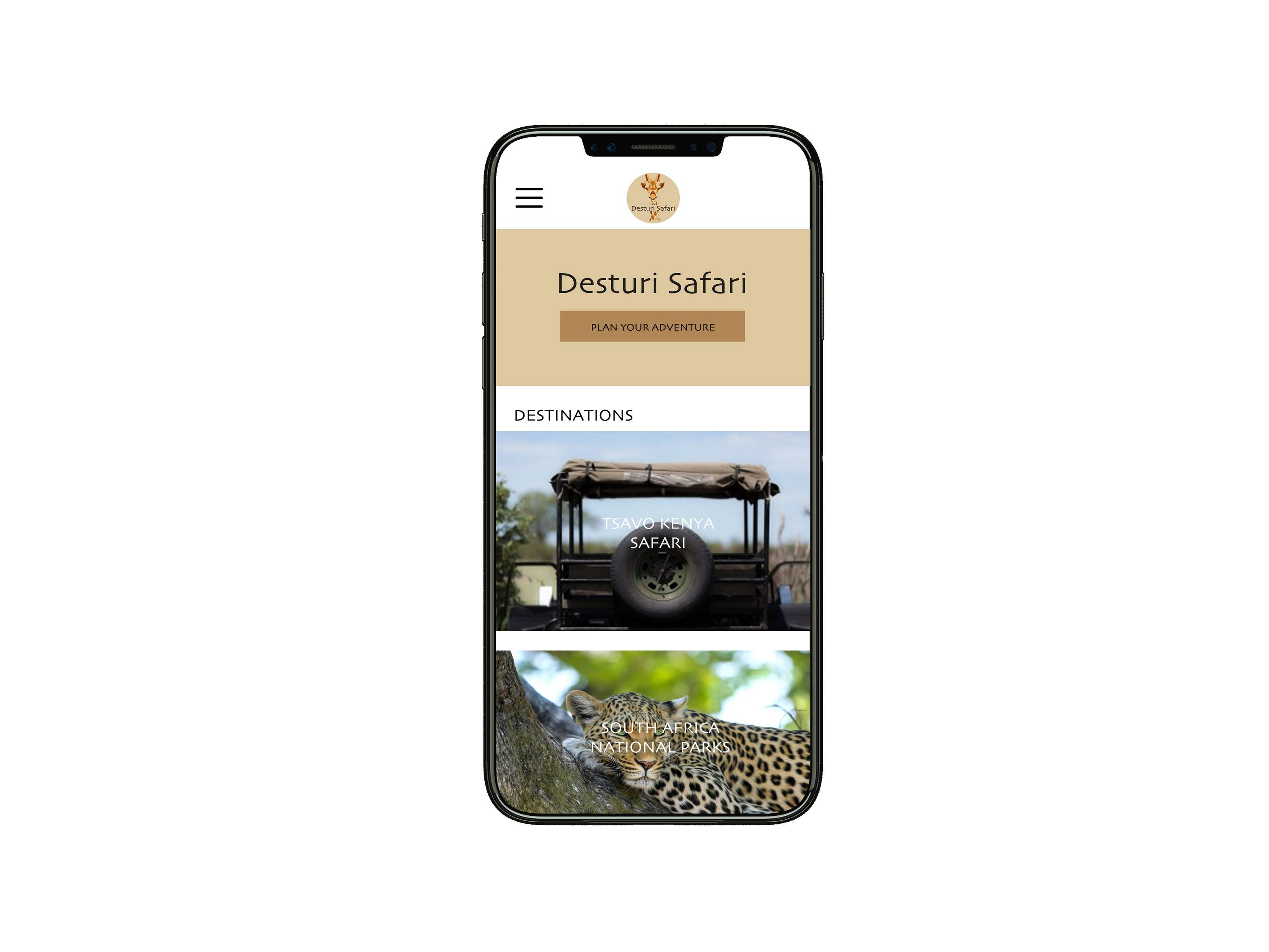 Desturi Safari Branding Project by Emily Sams