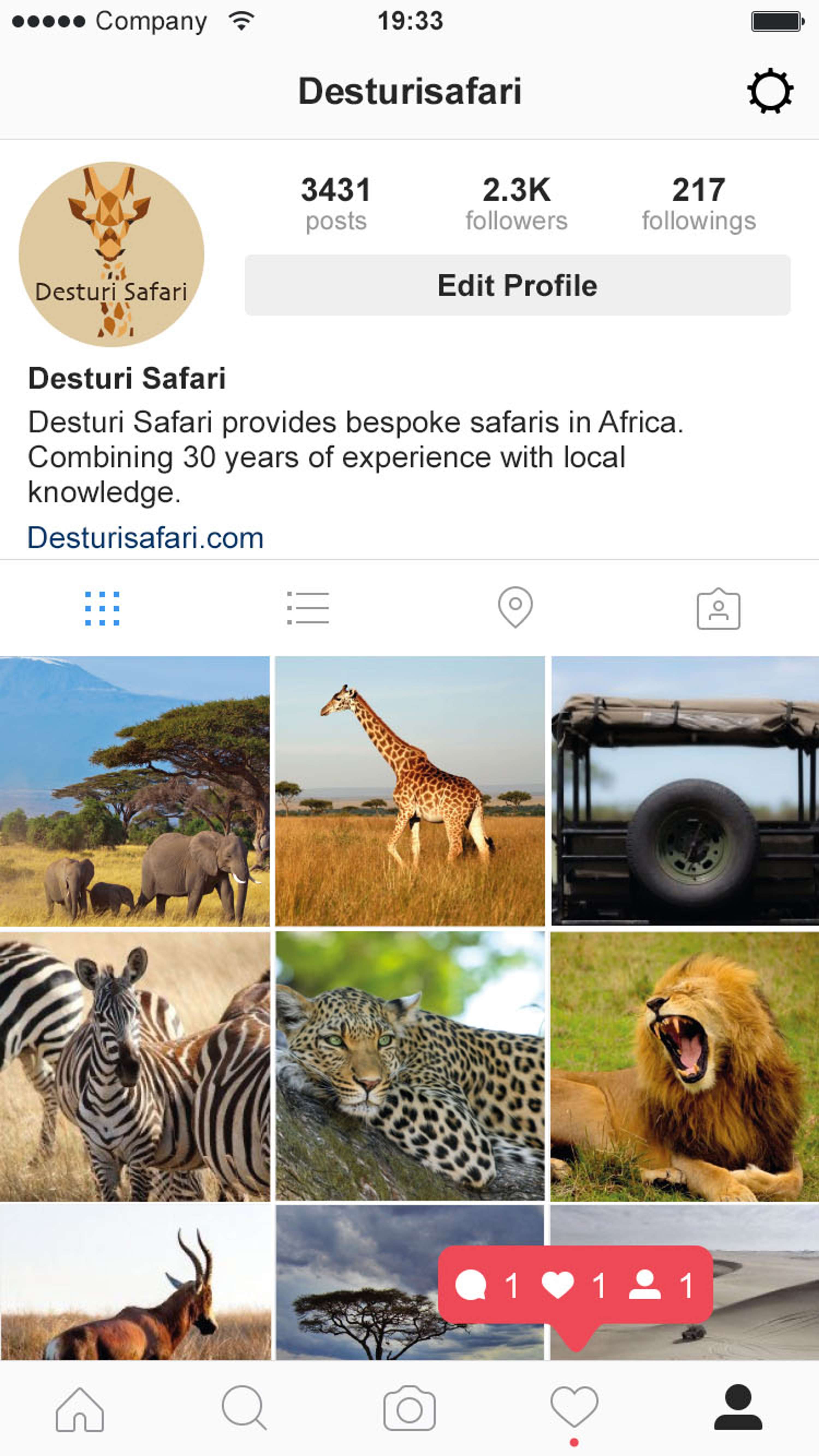 Desturi Safari Branding Project by Emily Sams