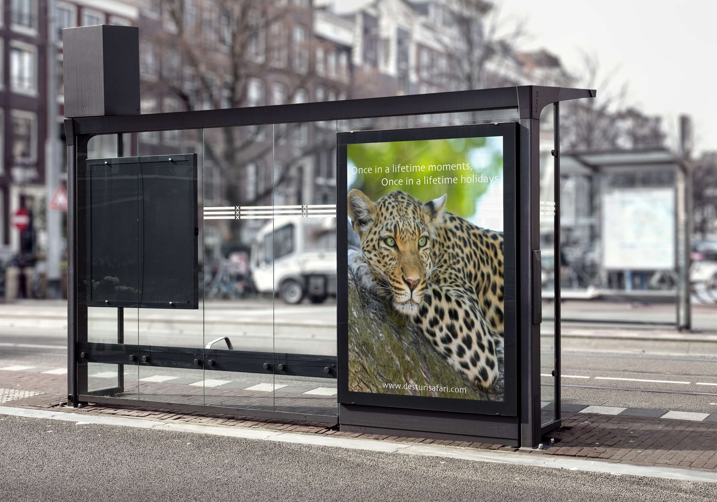 Desturi Safari Branding Project by Emily Sams