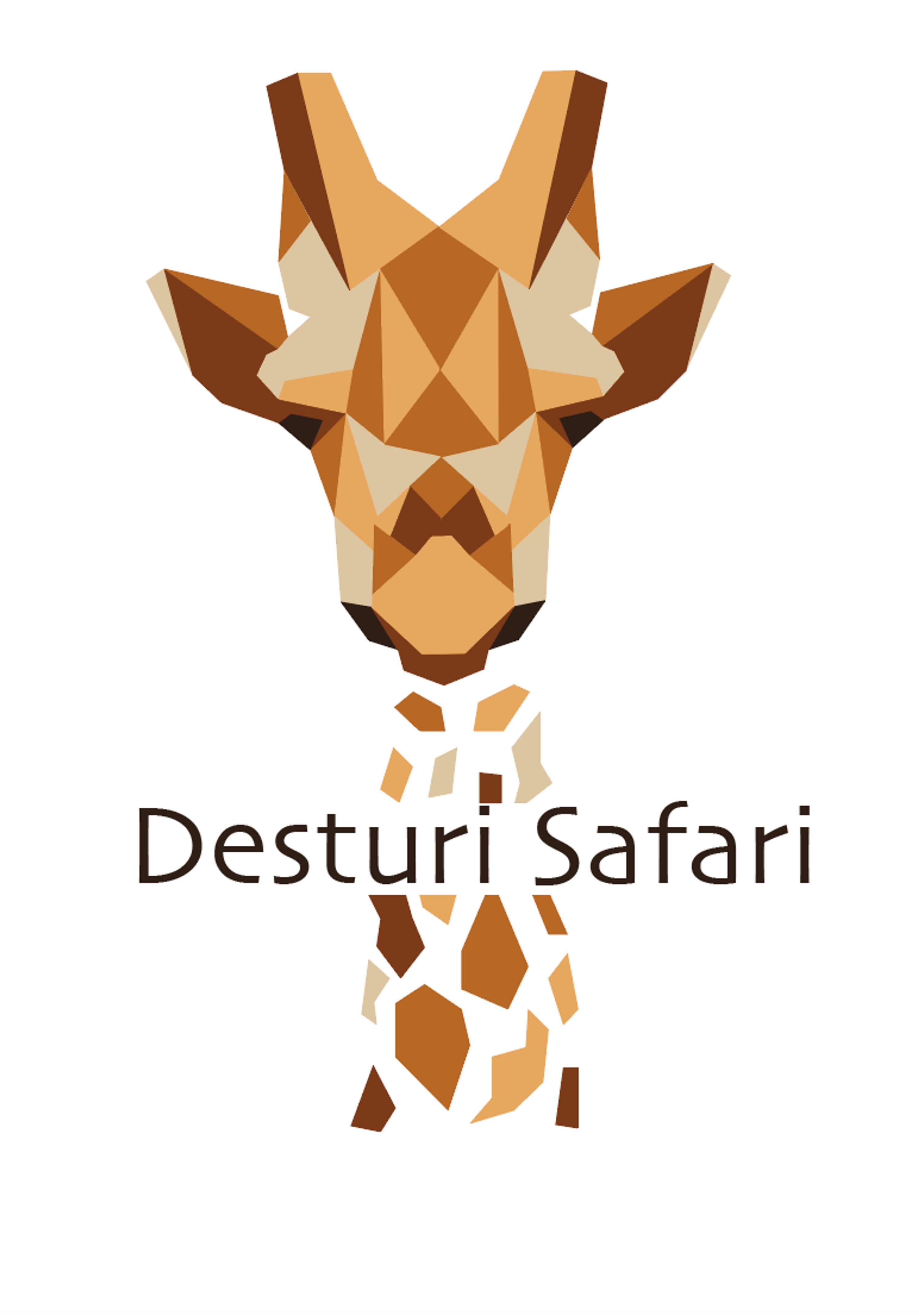 Desturi Safari Branding Project by Emily Sams