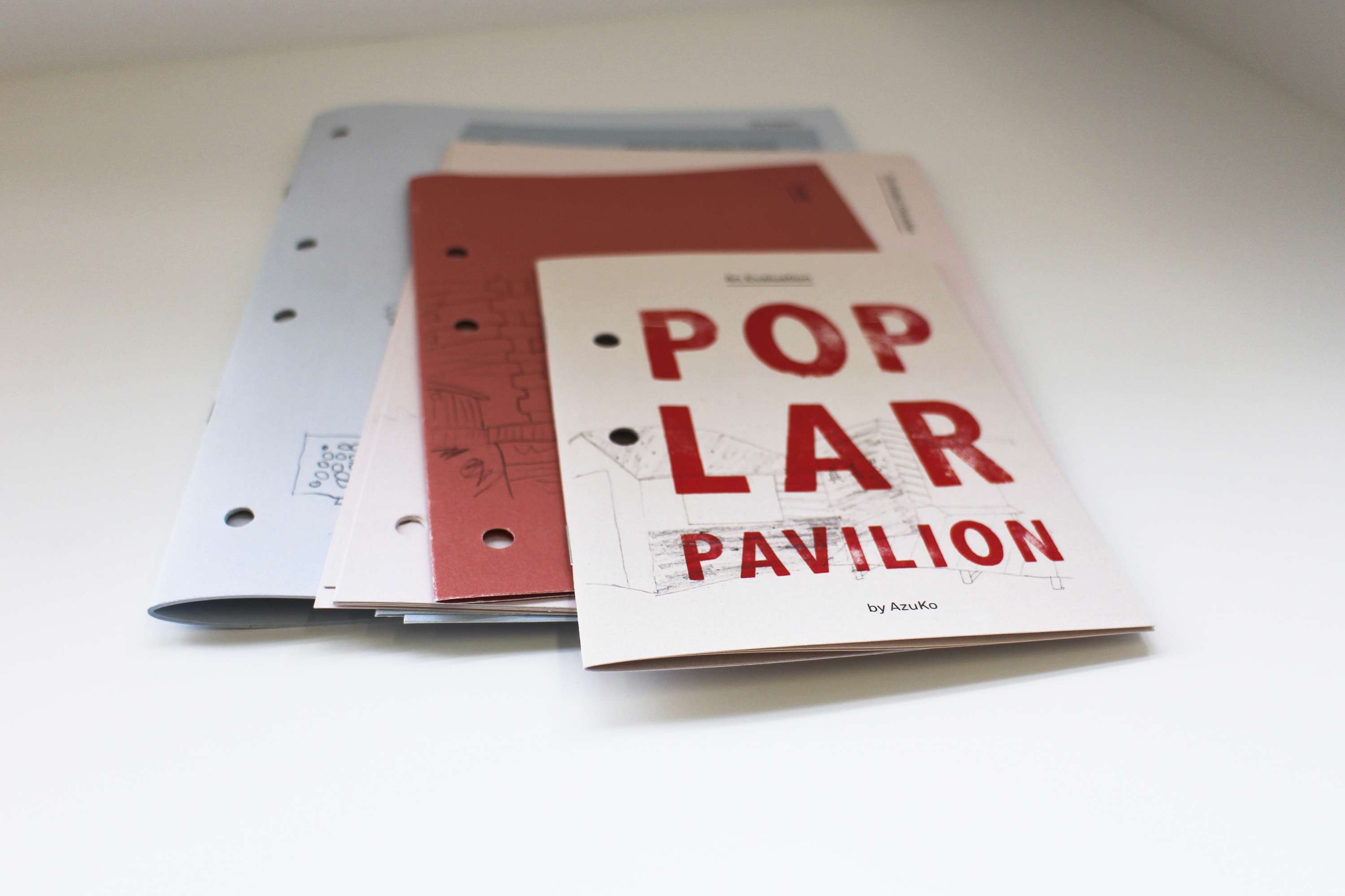 Poplar Pavilion Evaluation by Margherita Buzzi
