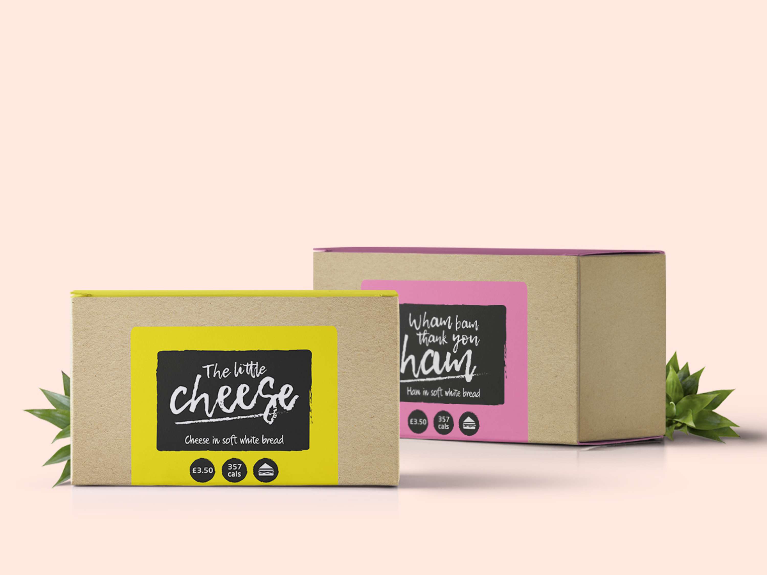 Onboard packaging design by Selina Akram