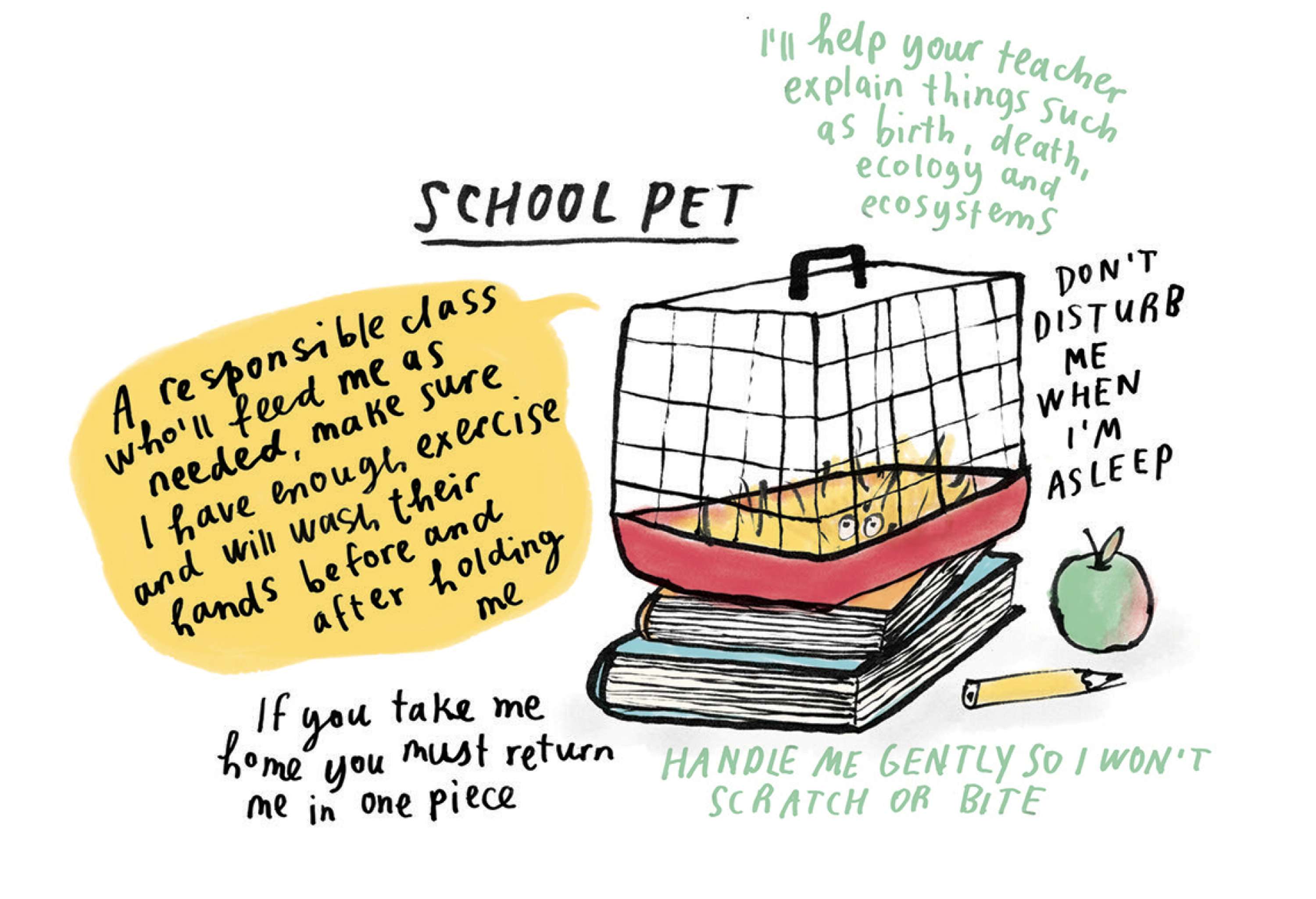 Writing an entertaining guide to choosing a pet by Sarah Farley