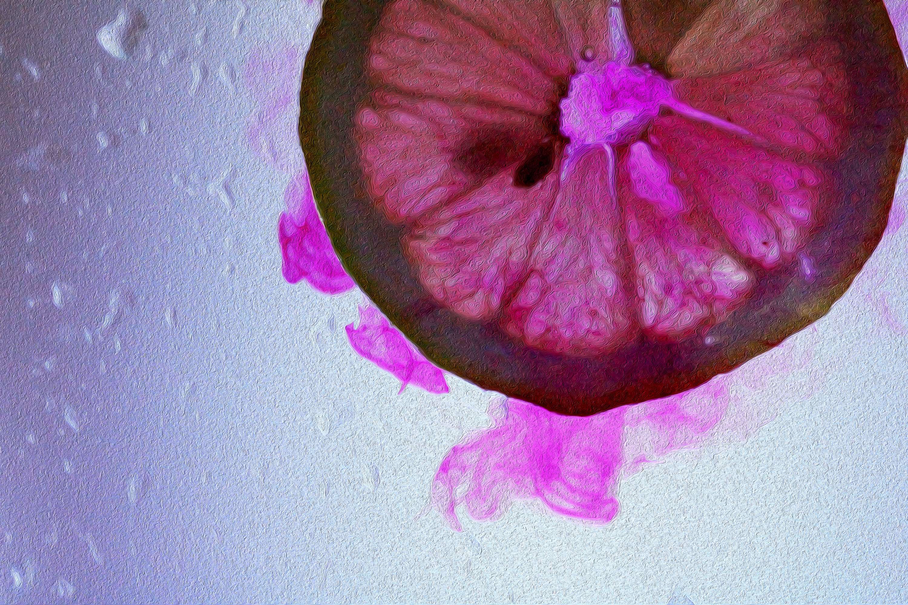 Artificial Orange by Francesca Moore