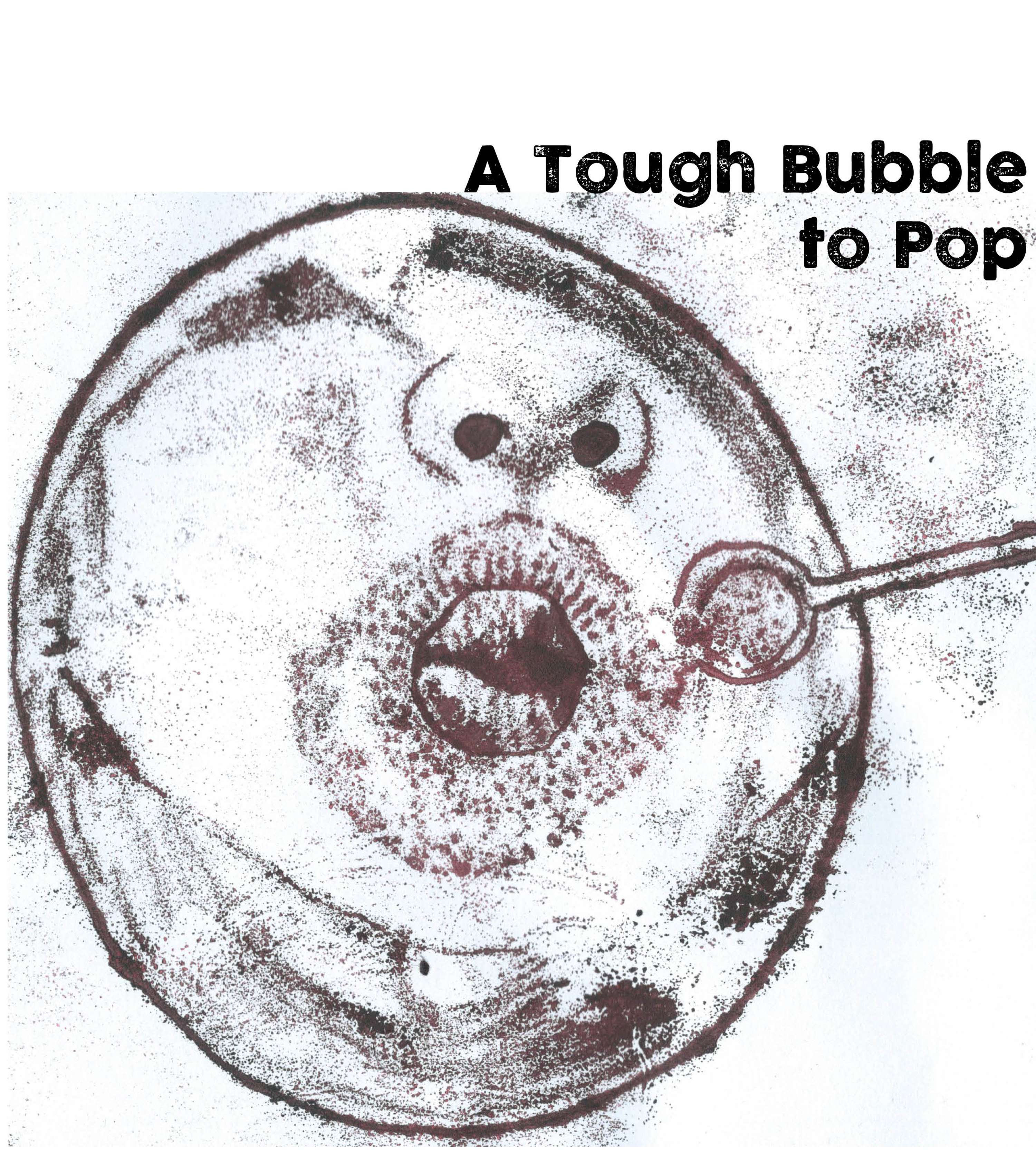 A Tough Bubble to Pop. by Tanvir Shah