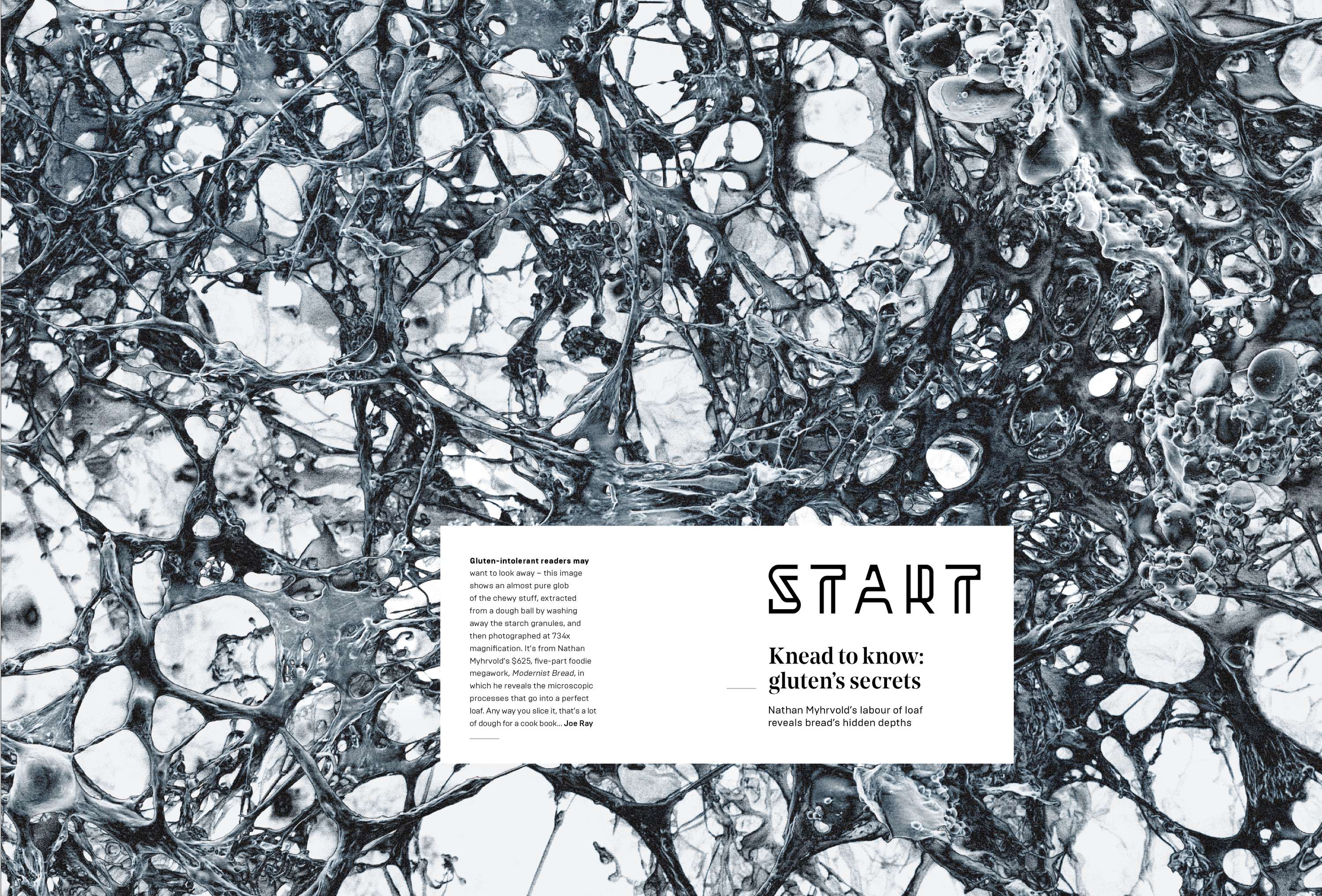 Art Direction _ Redesign by Andrew Diprose