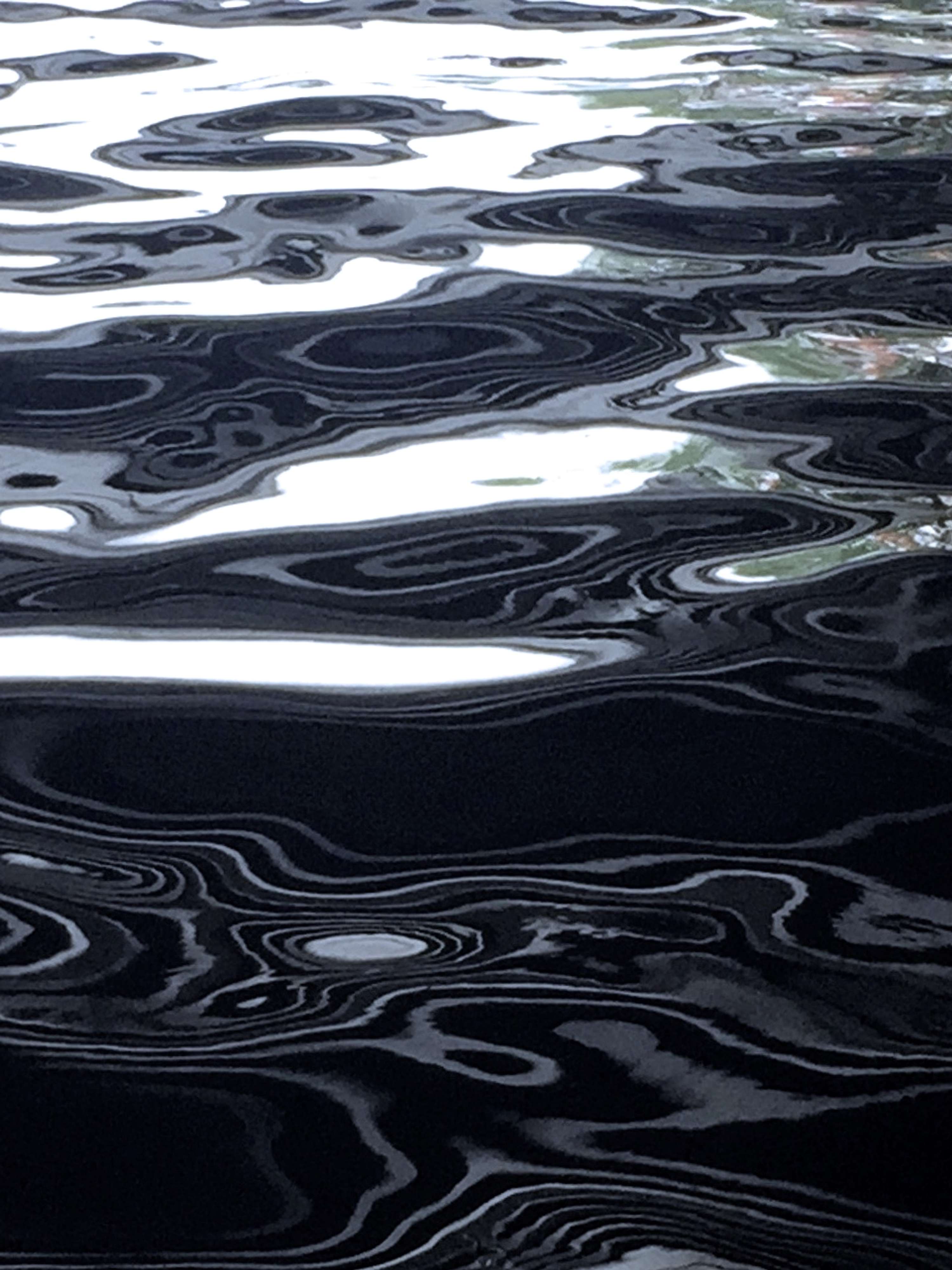 Fluid Fusion by Katie Buckland