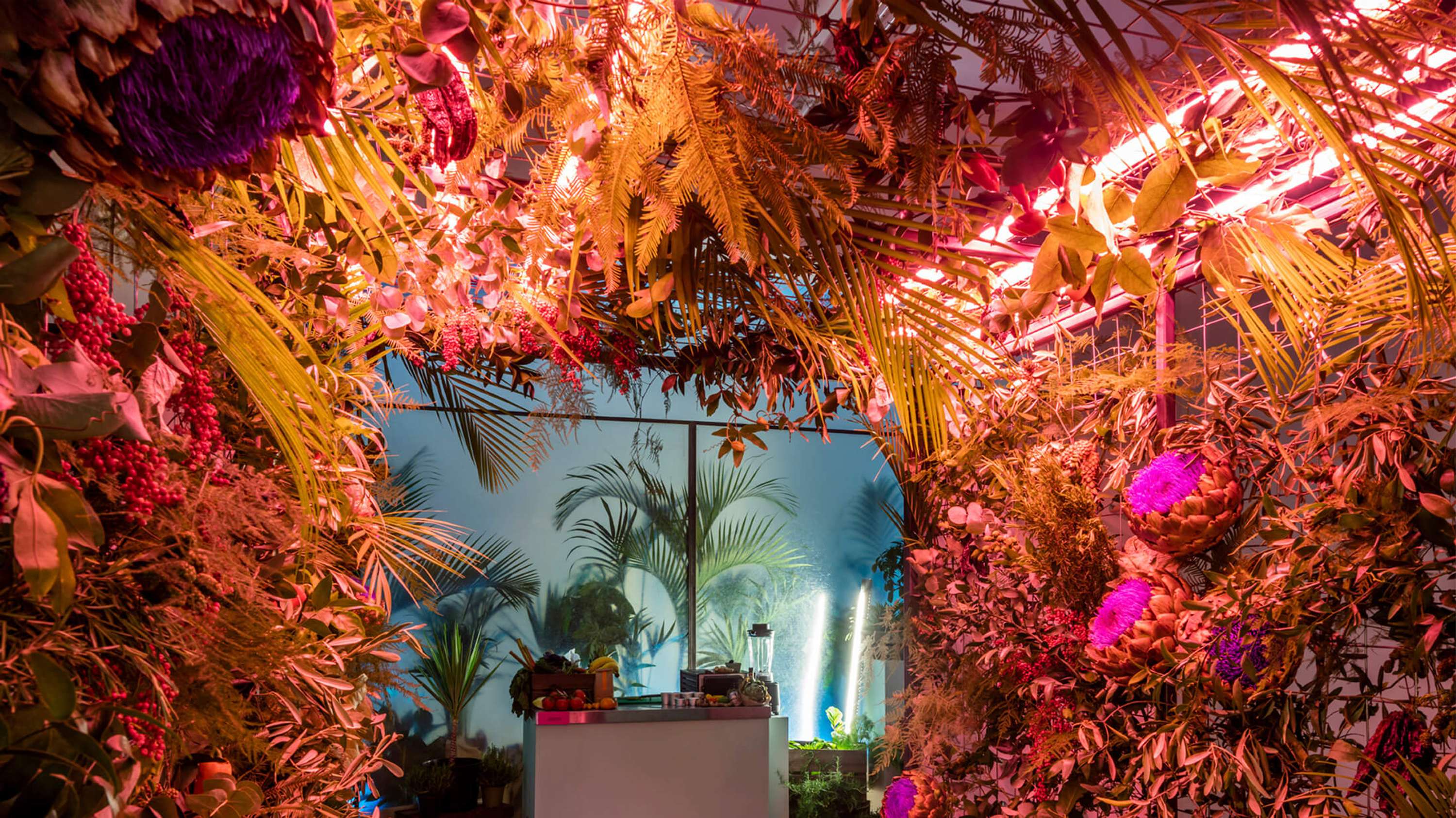 Institute of Flavour by Netta Peltola