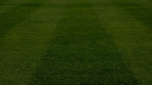 More Than A Game by Ashley Kitchin