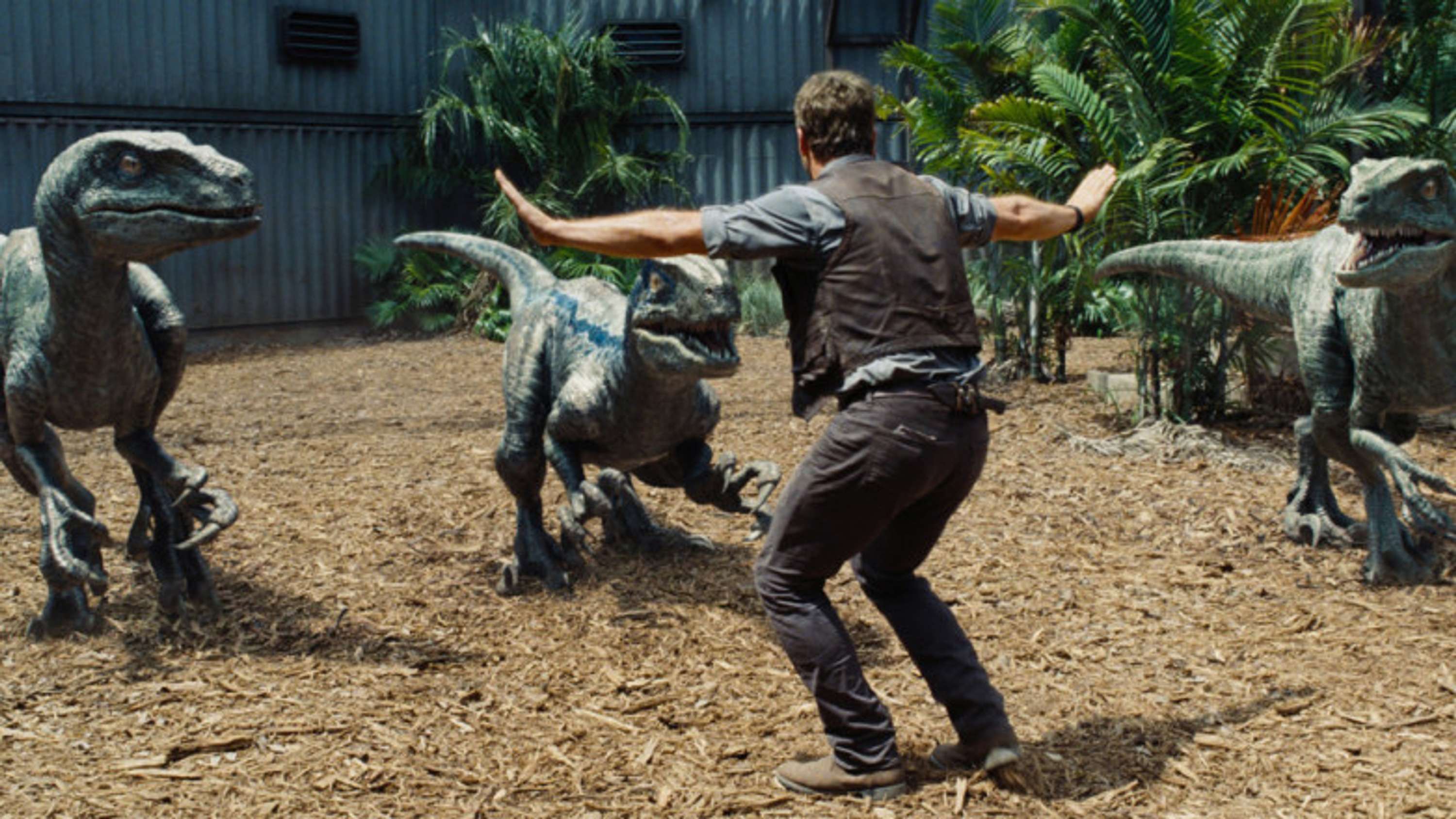 Zookeepers Recreate Chris Pratt's Moves at Chessington by Georgie Gayler-Thompson