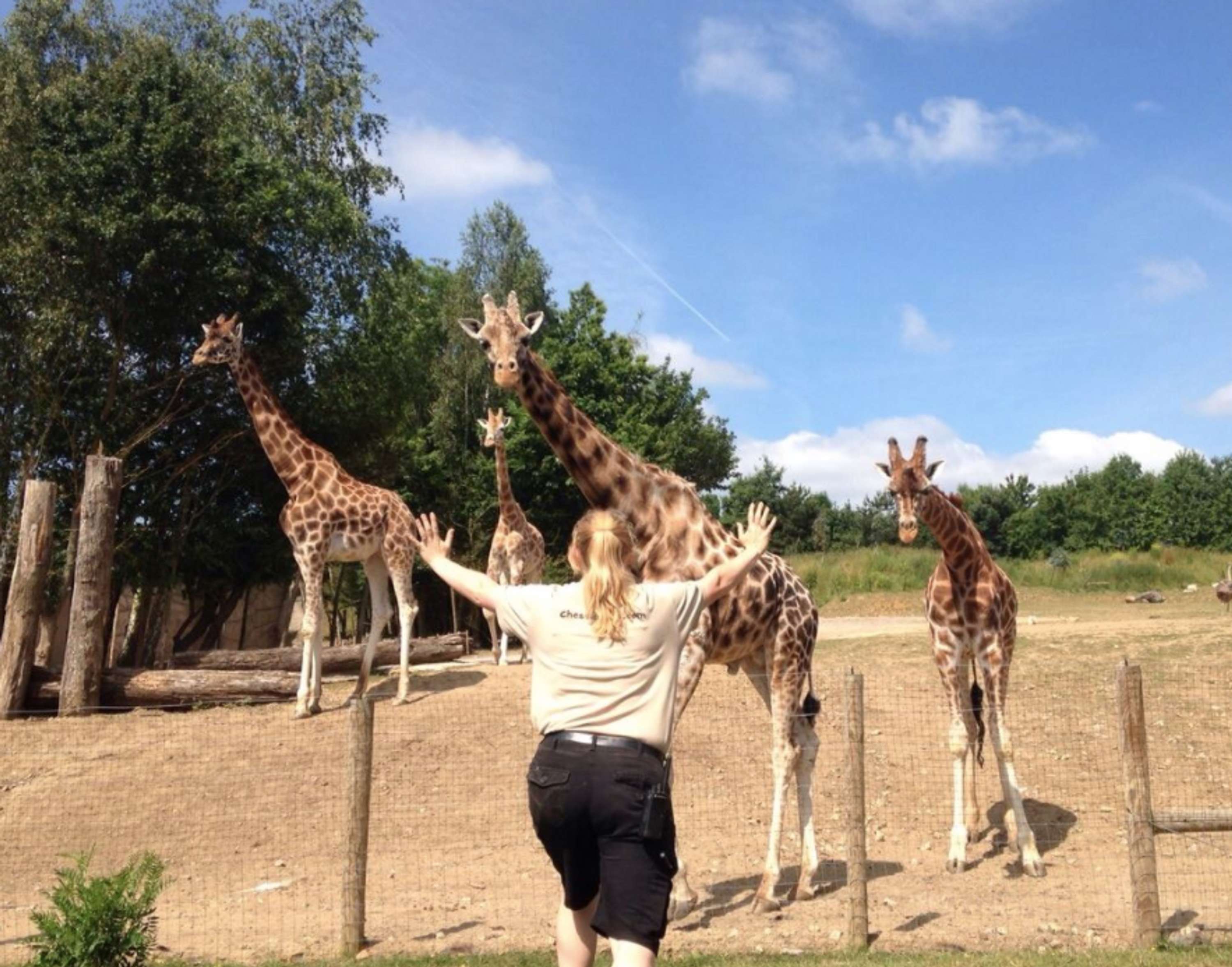 Zookeepers Recreate Chris Pratt's Moves at Chessington by Georgie Gayler-Thompson