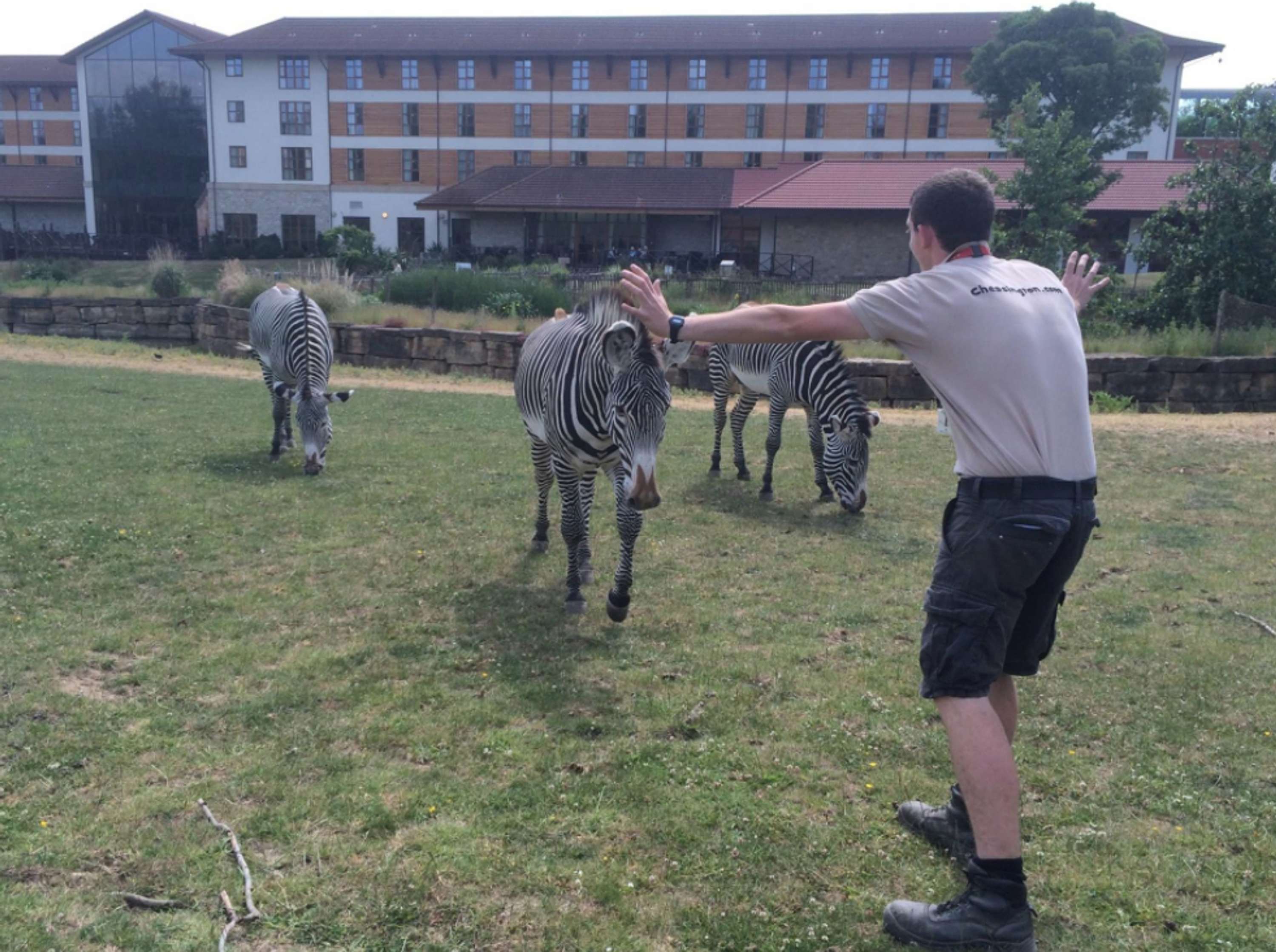 Zookeepers Recreate Chris Pratt's Moves at Chessington by Georgie Gayler-Thompson