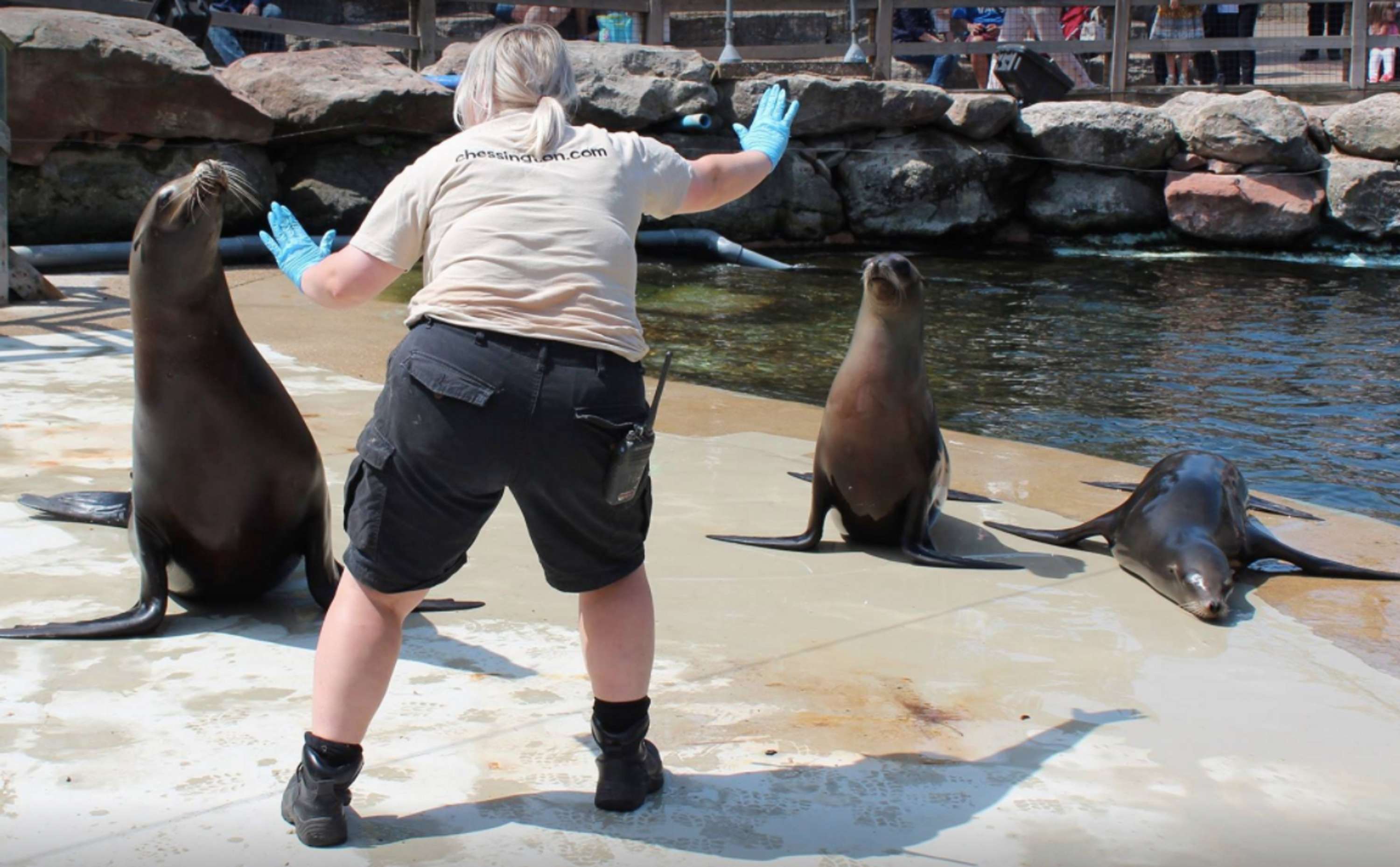 Zookeepers Recreate Chris Pratt's Moves at Chessington by Georgie Gayler-Thompson