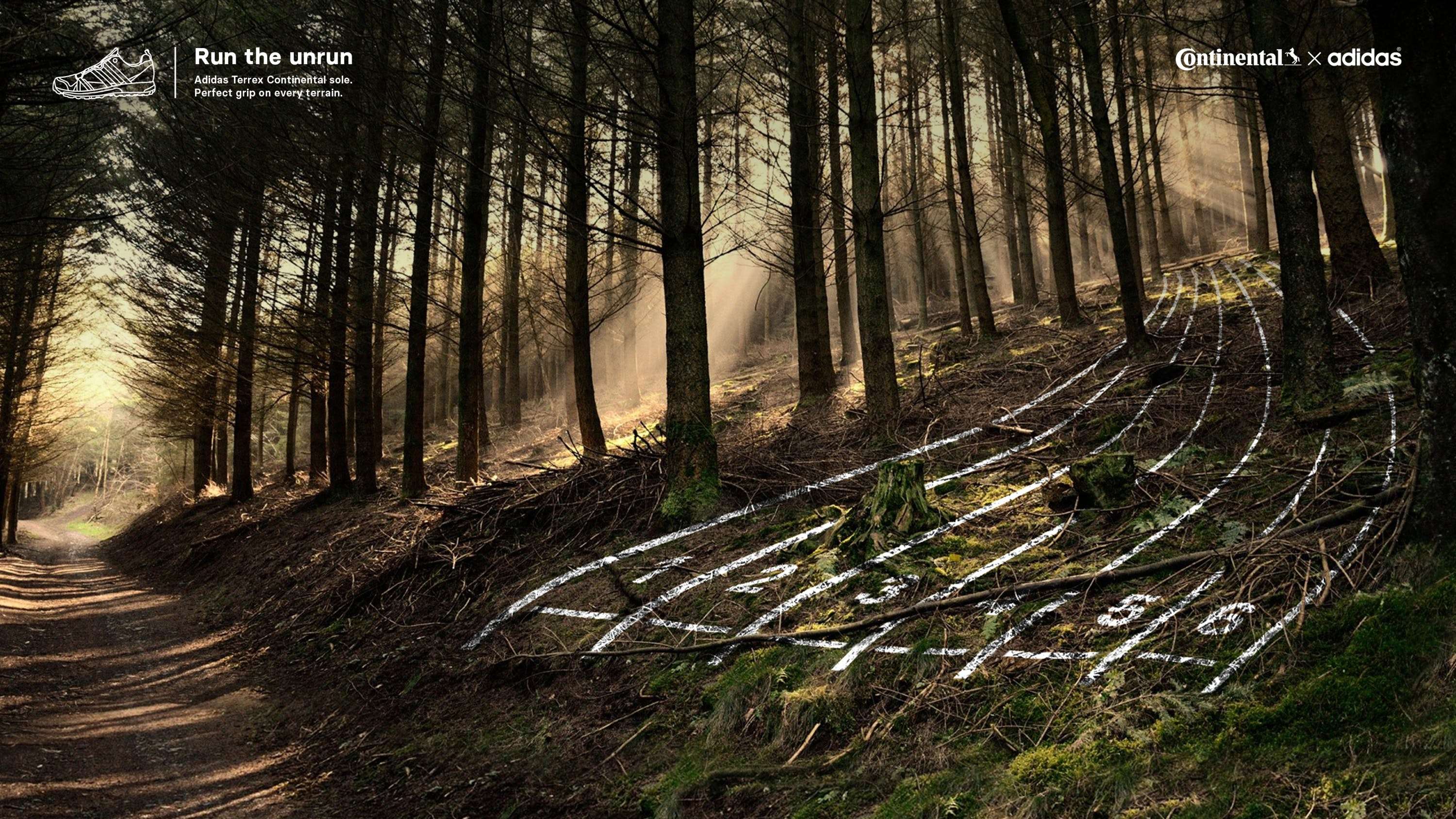 Continental – Run the Unrun by Manuela Rondon