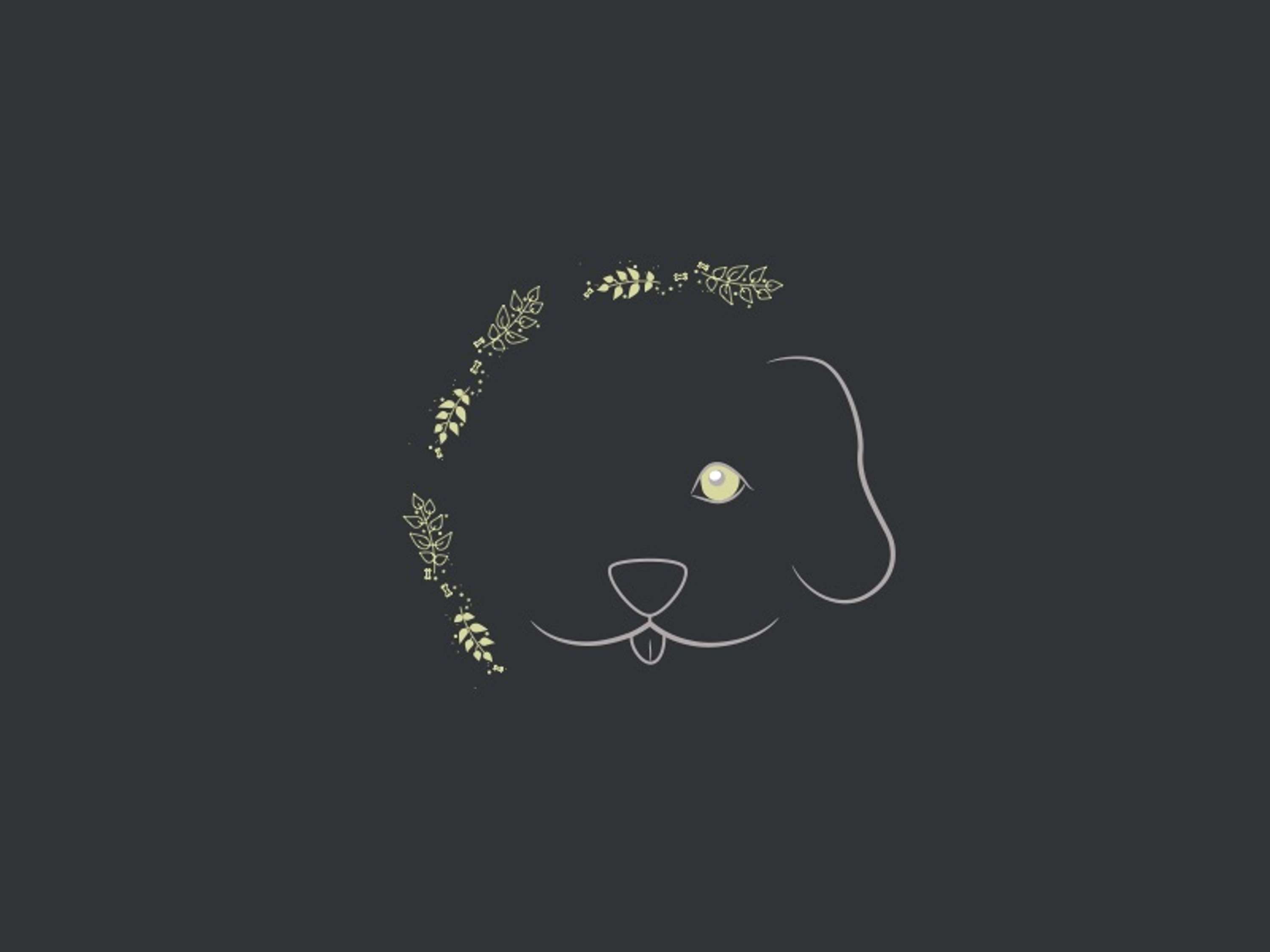 Brand Identity by Stefany Guzman Nunez
