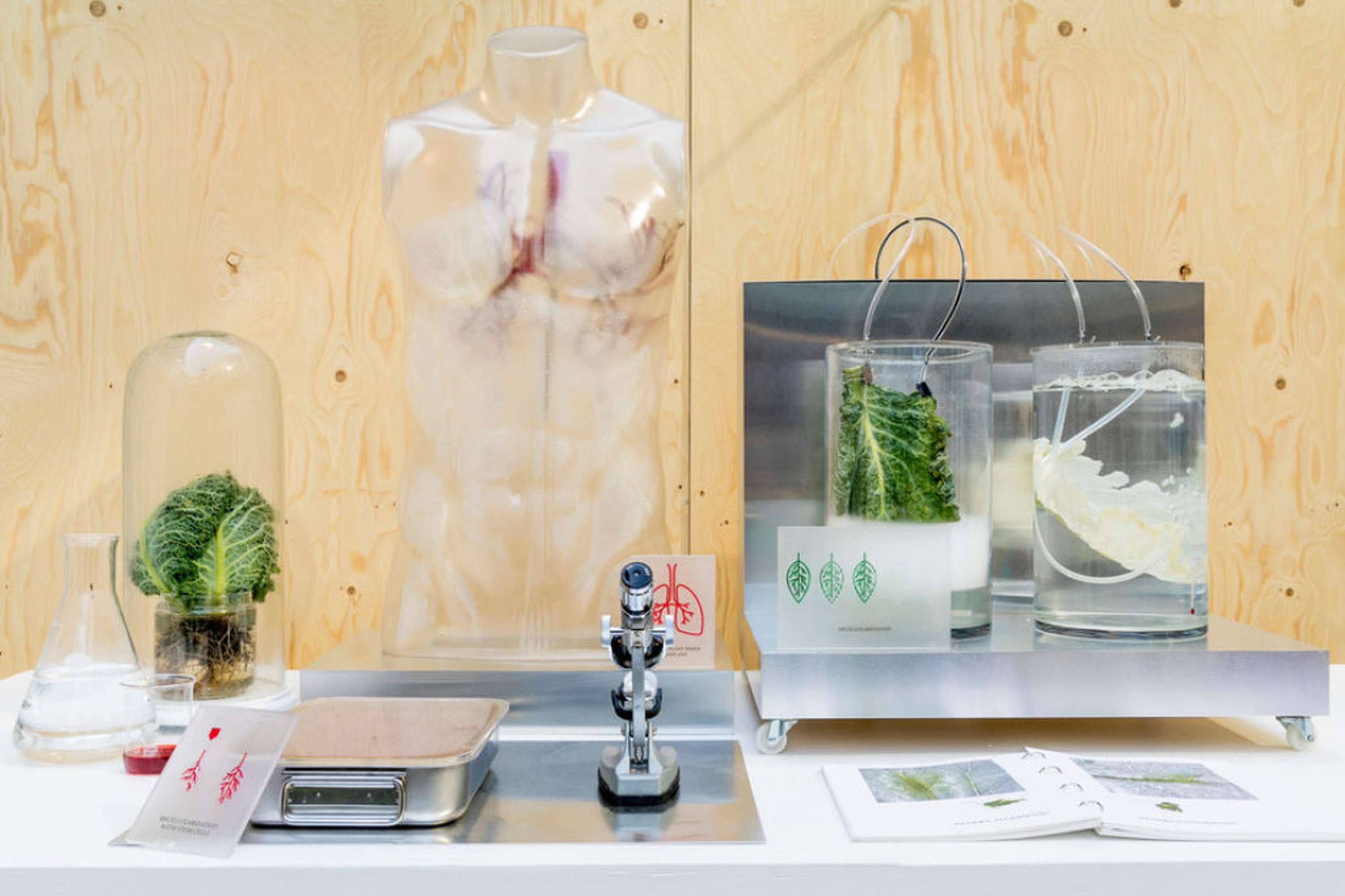 MATERIAL FUTURES: Central Saint Martins by Stella McCartney