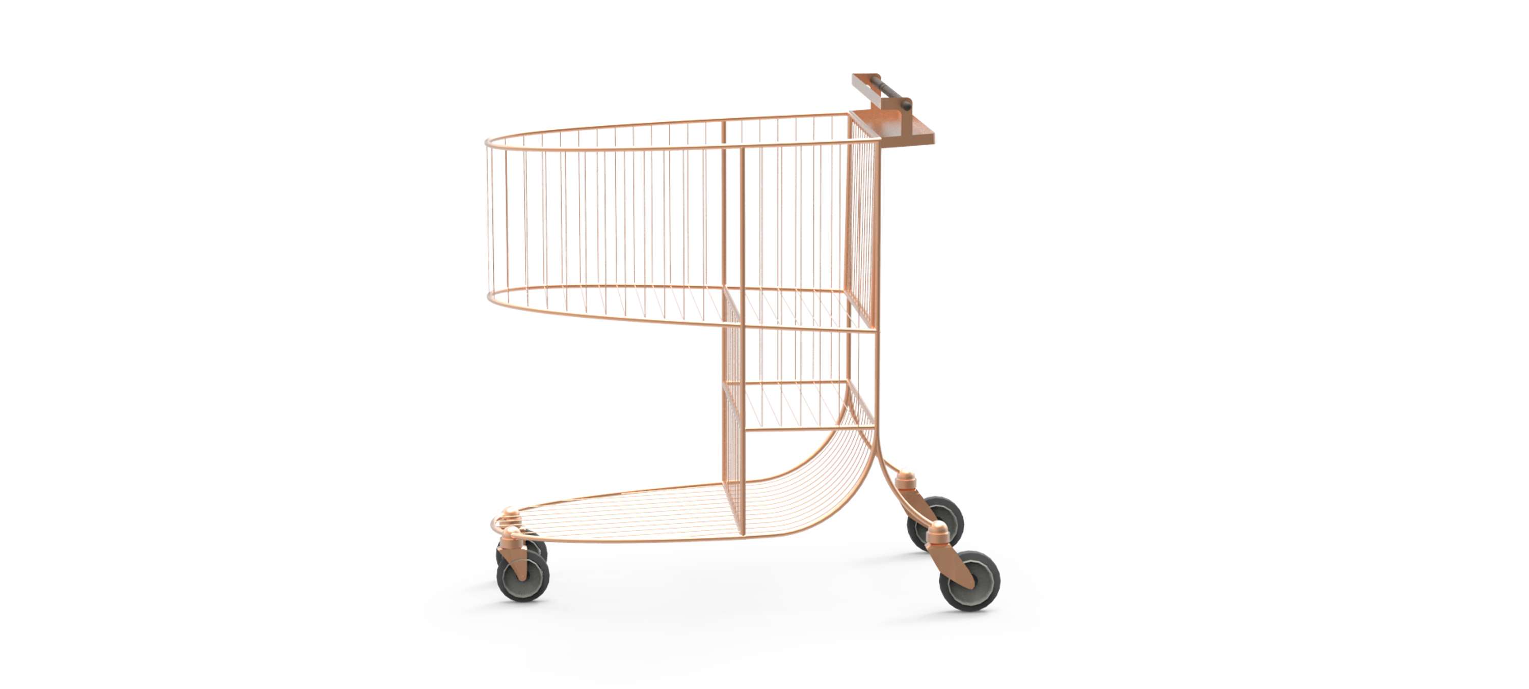 Platy by Benedetta Grazian