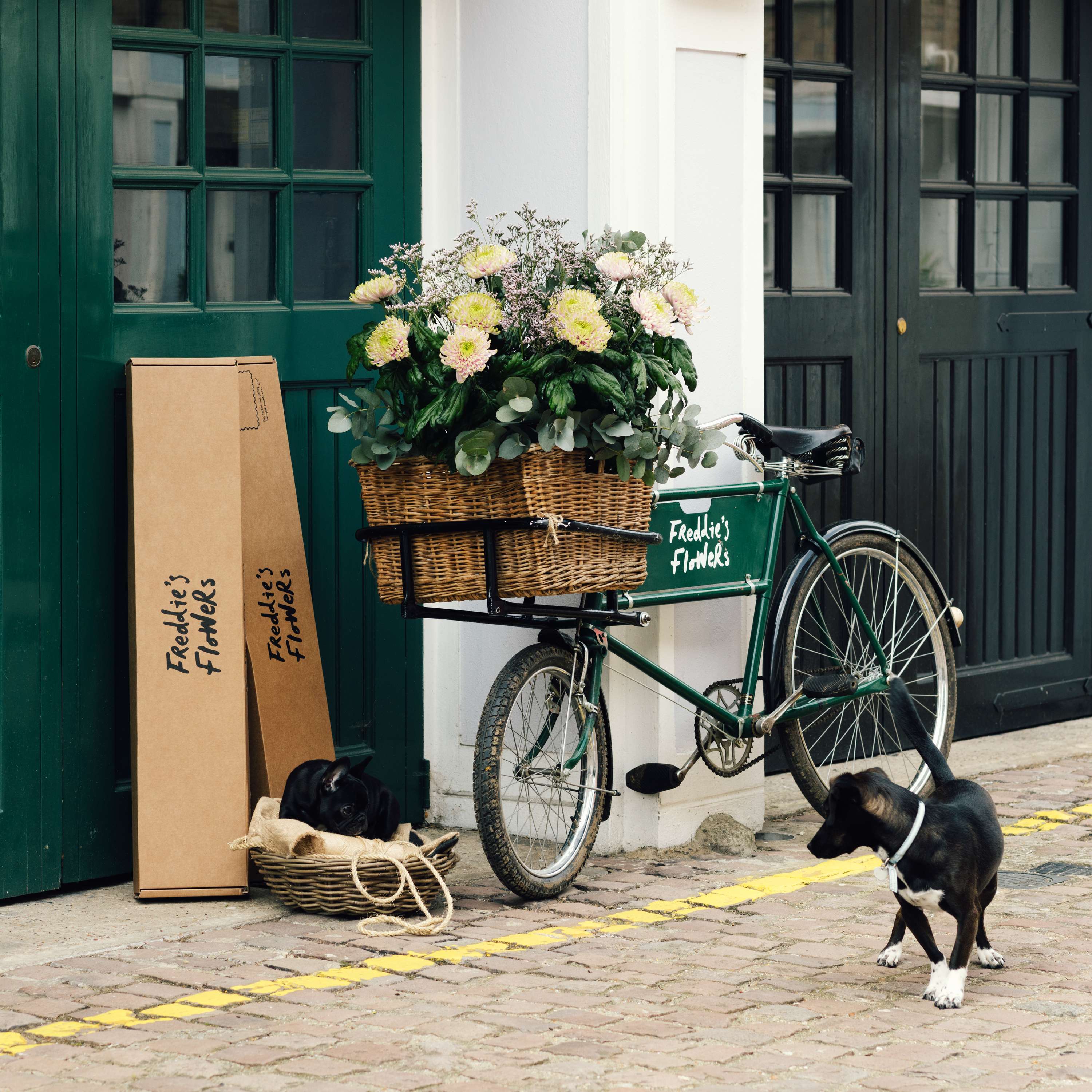 Freddie's Flowers are hiring: CLICK ON THE LINK -    http://jobs.freddiesflowers.com/sales-rep by Freddie's Flowers