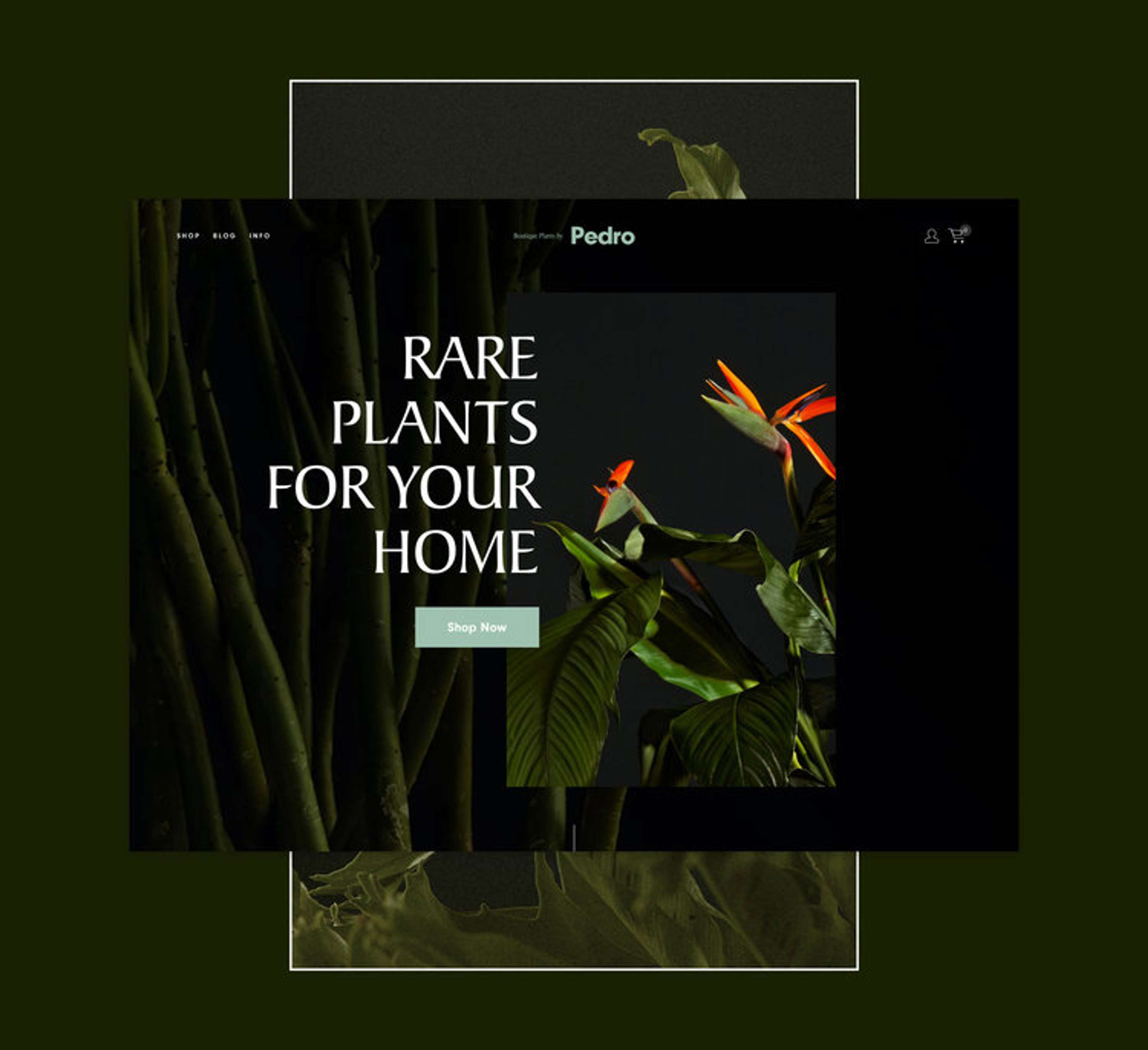 8 New Website Templates For 2018 by Squarespace