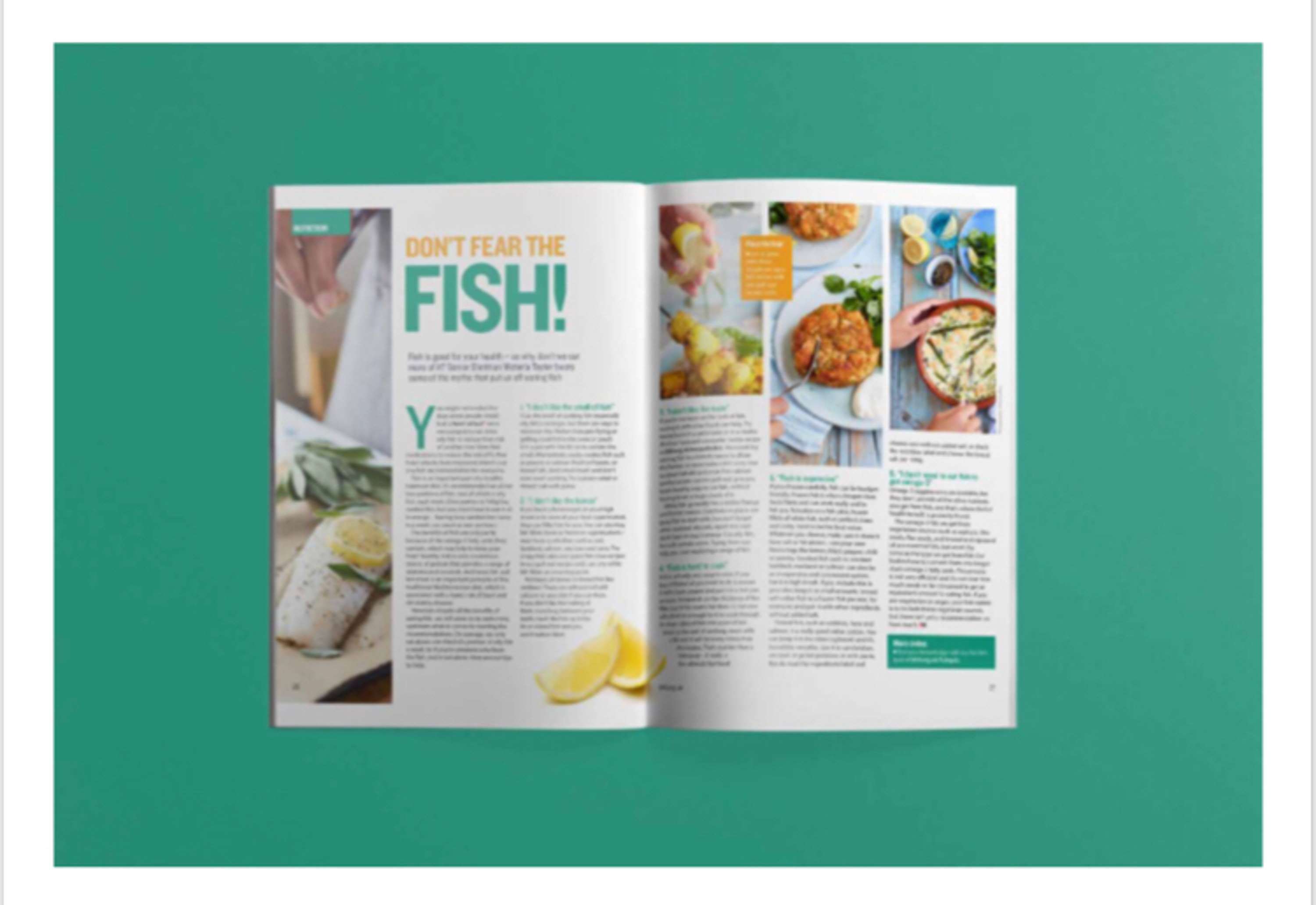 Editorial Design by Danielle Scregg