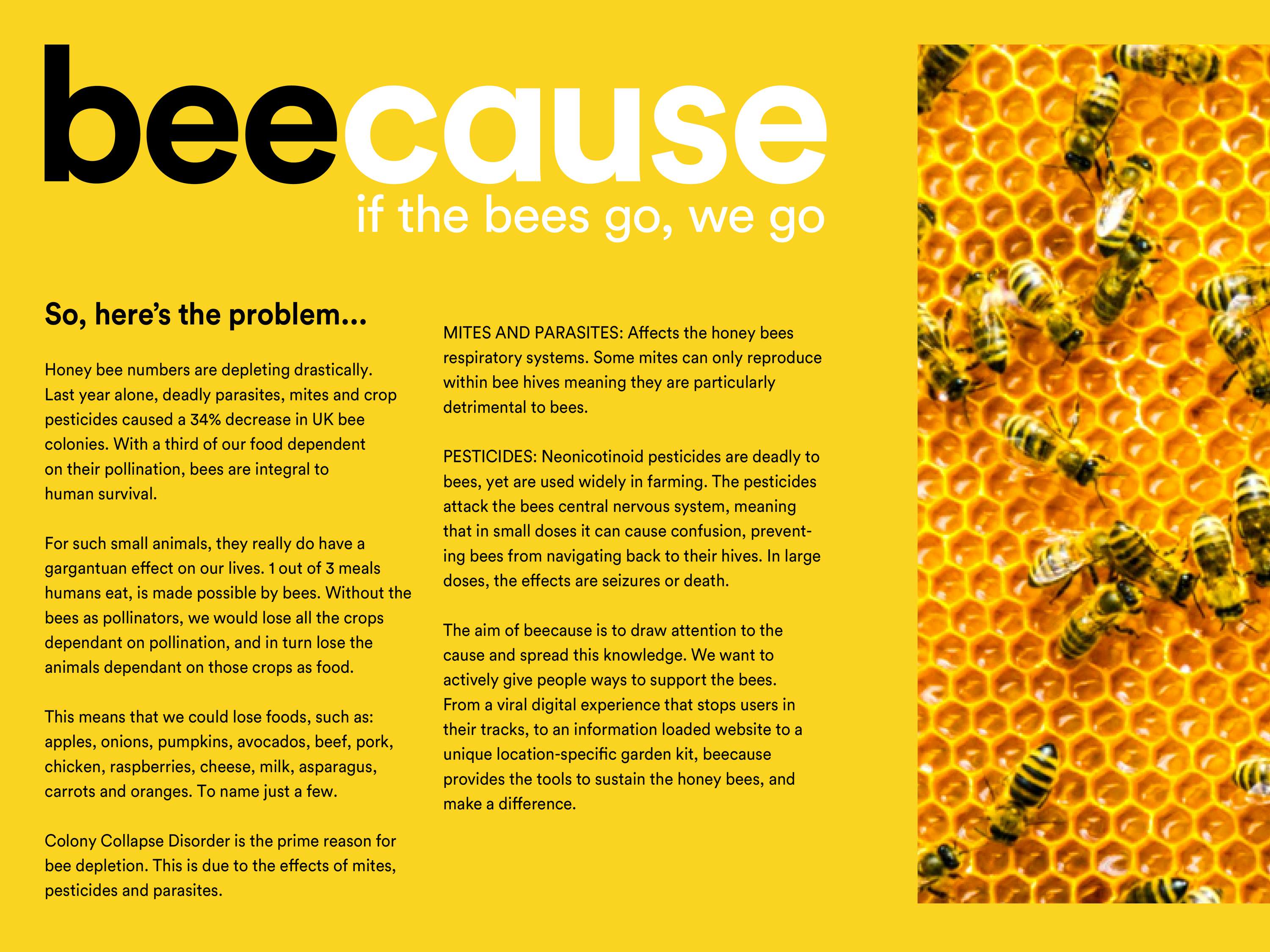 D&AD New Blood. Dropbox Paper: beecause by Kendall Slade