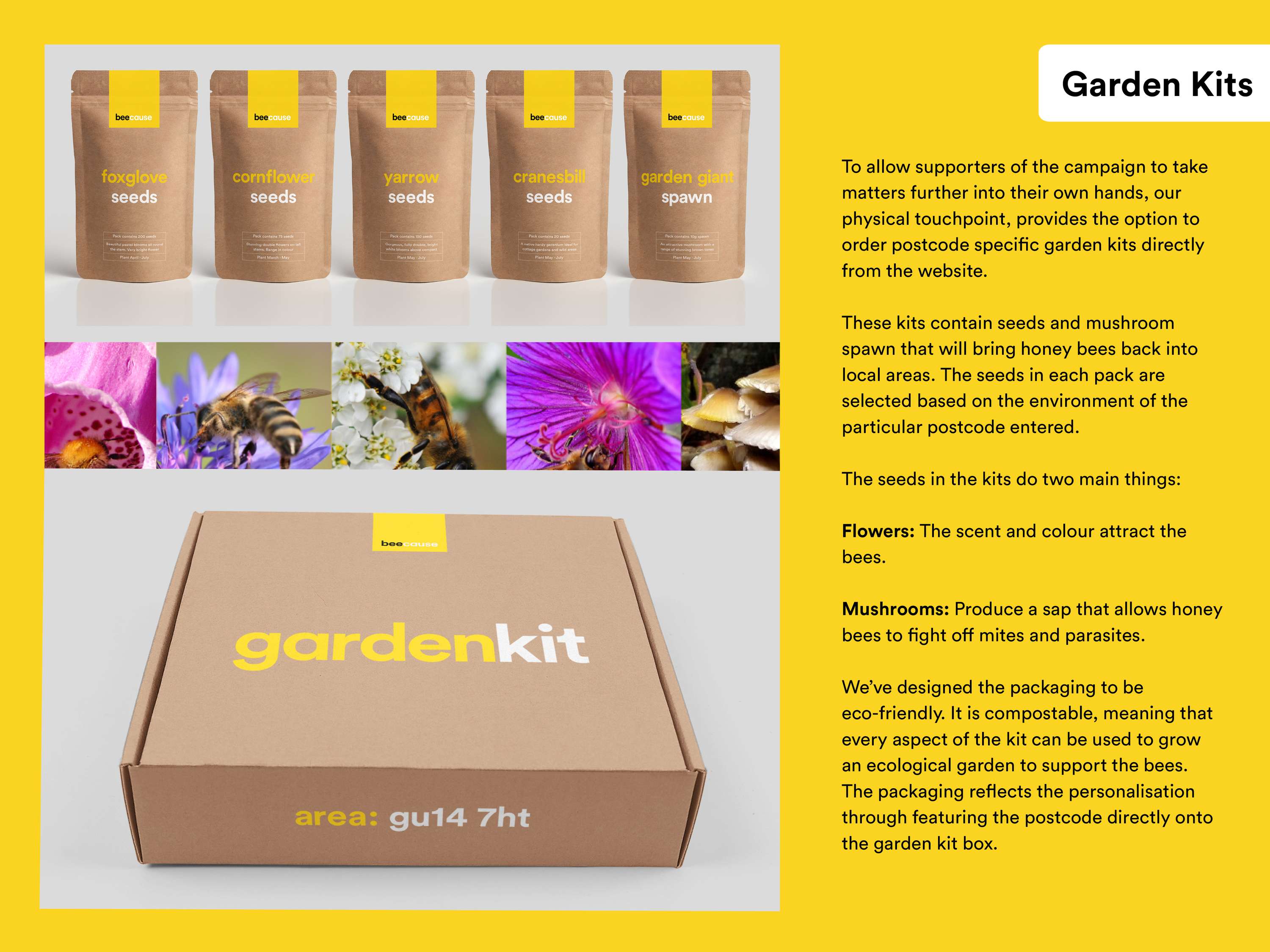 D&AD New Blood. Dropbox Paper: beecause by Kendall Slade