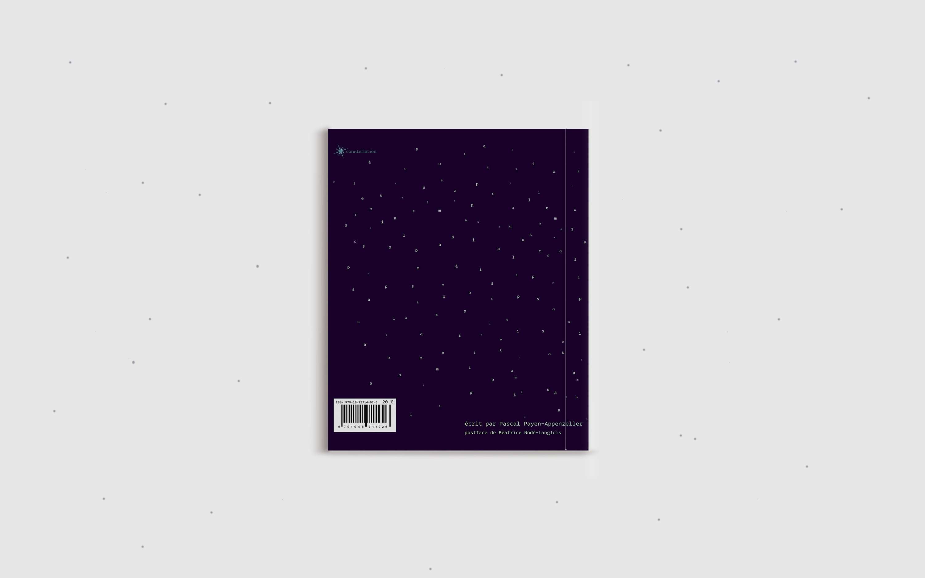 Le mercure de Paris, french poetry book, Méroé, 2017 by Charlotte Eckstein