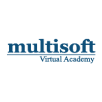 Multisoft Virtual Academy logo