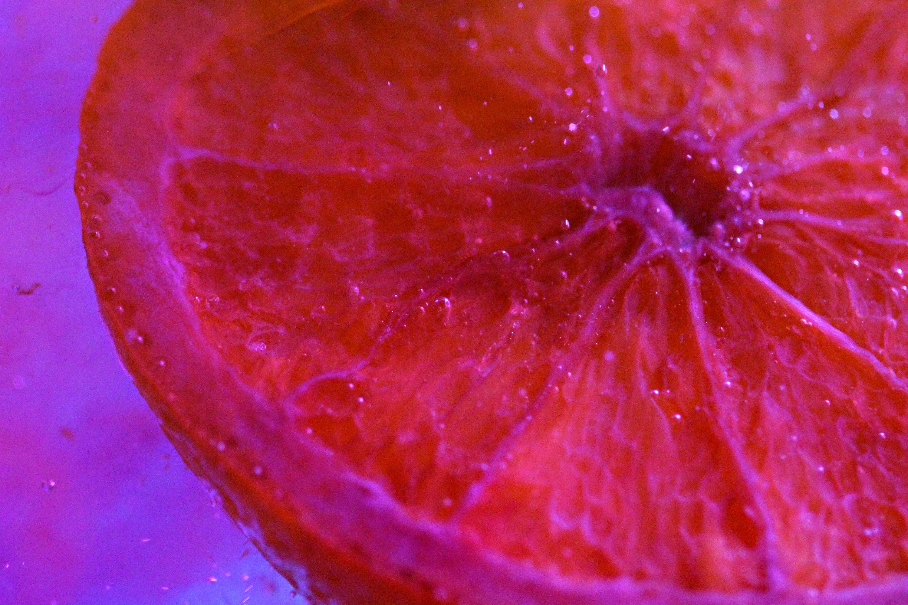 Artificial Orange by Francesca Moore
