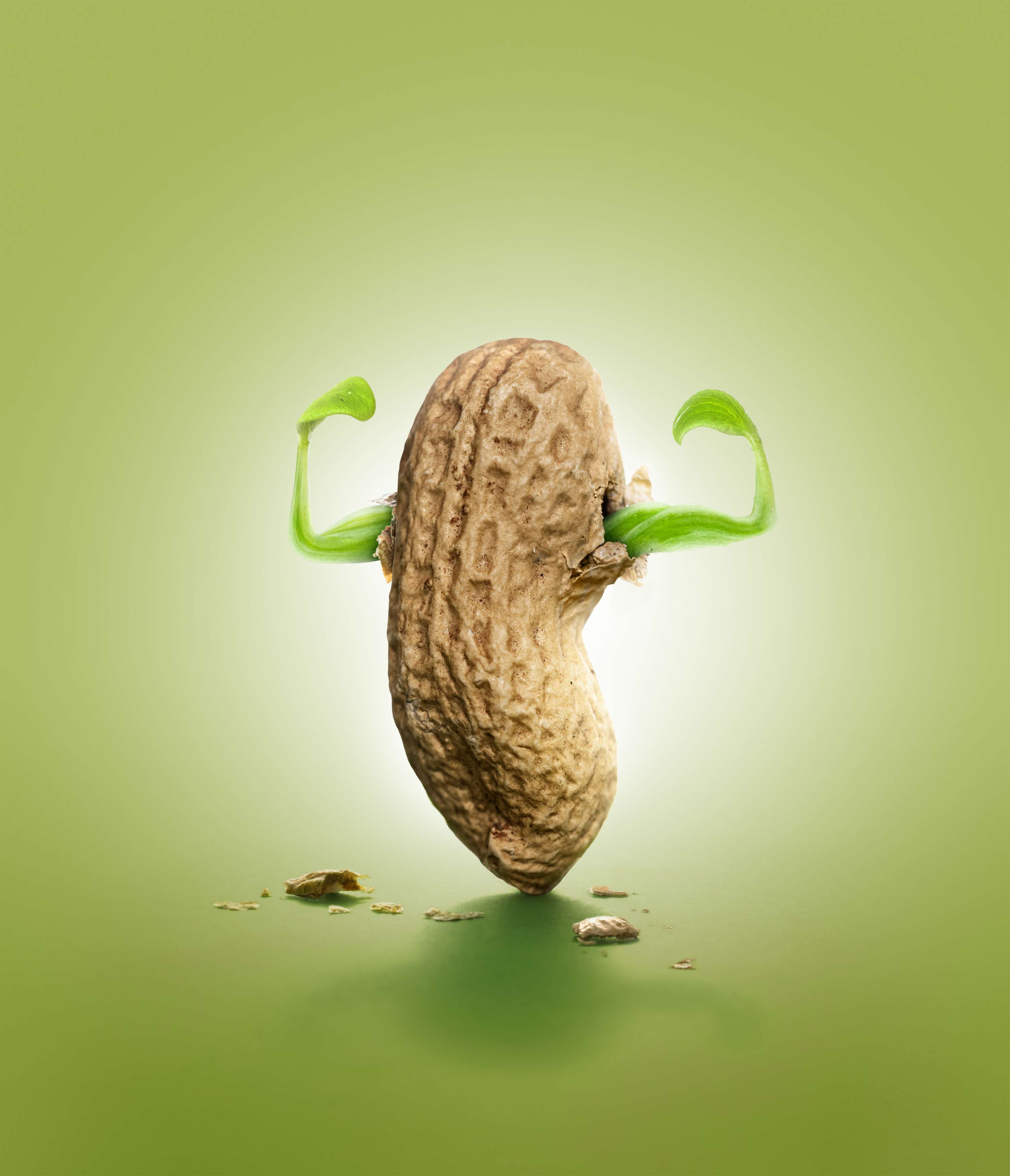 SuperNut by hitandrun 