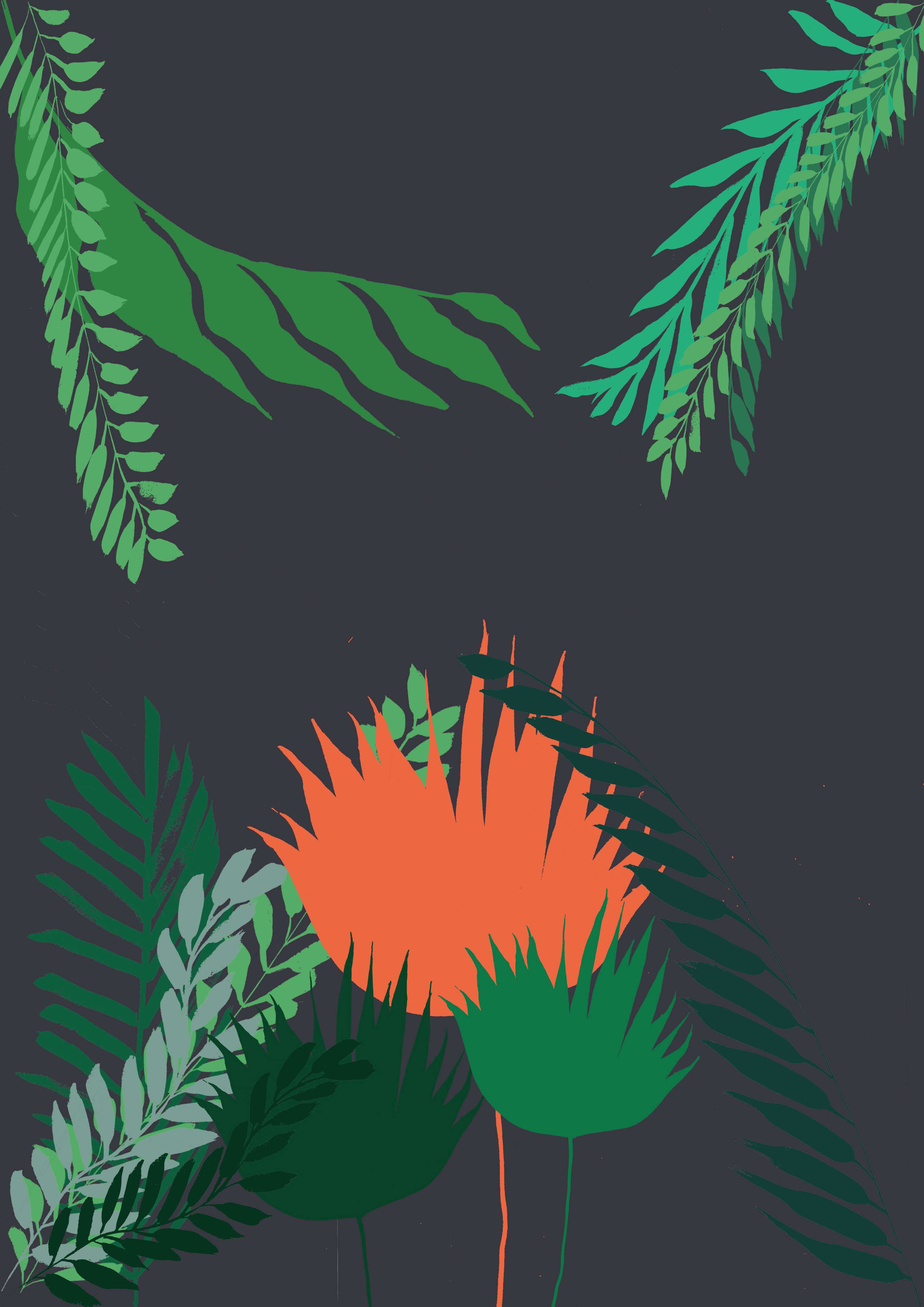 Tigerlily live project by Kamile Balciunaite