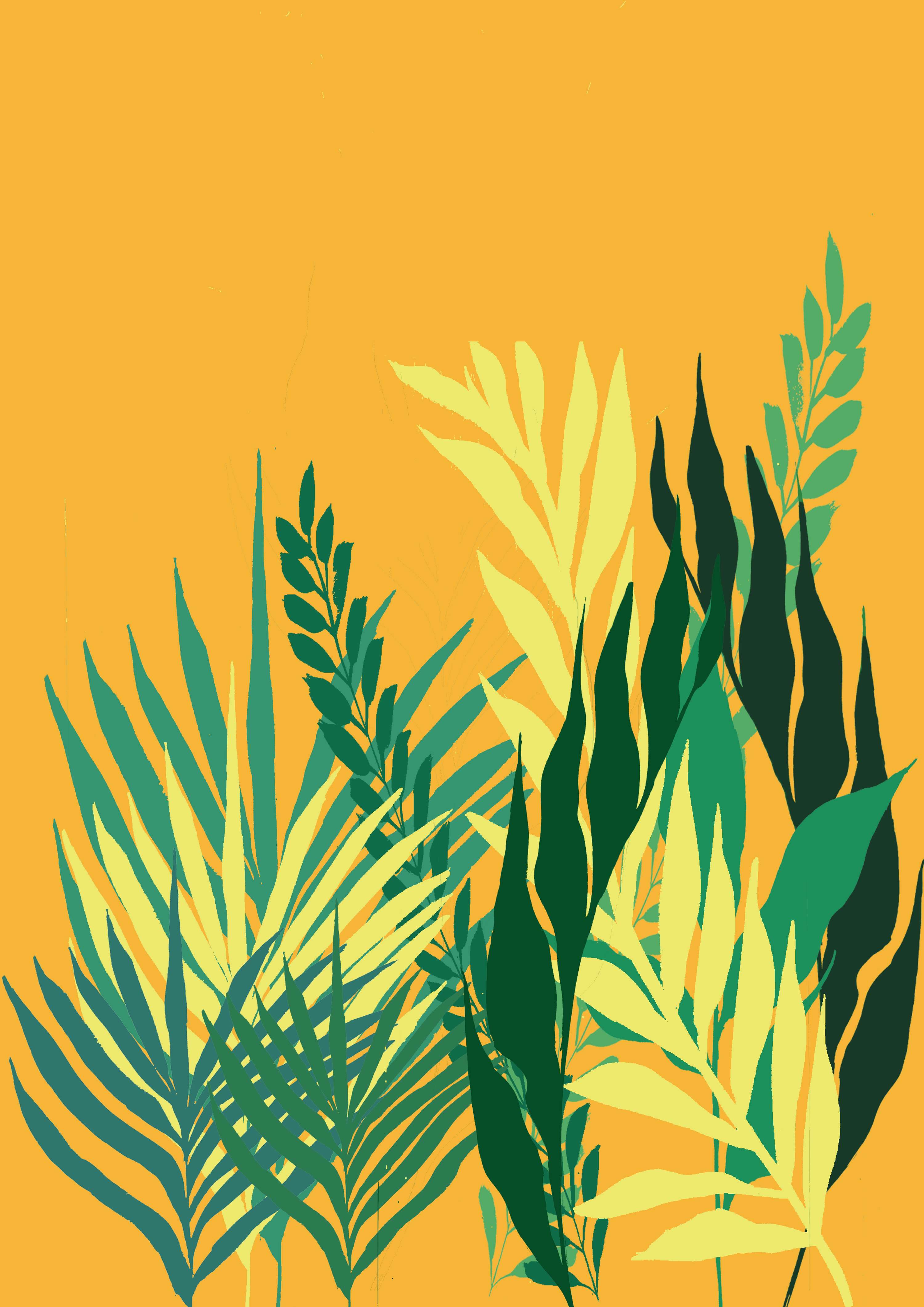 Tigerlily live project by Kamile Balciunaite