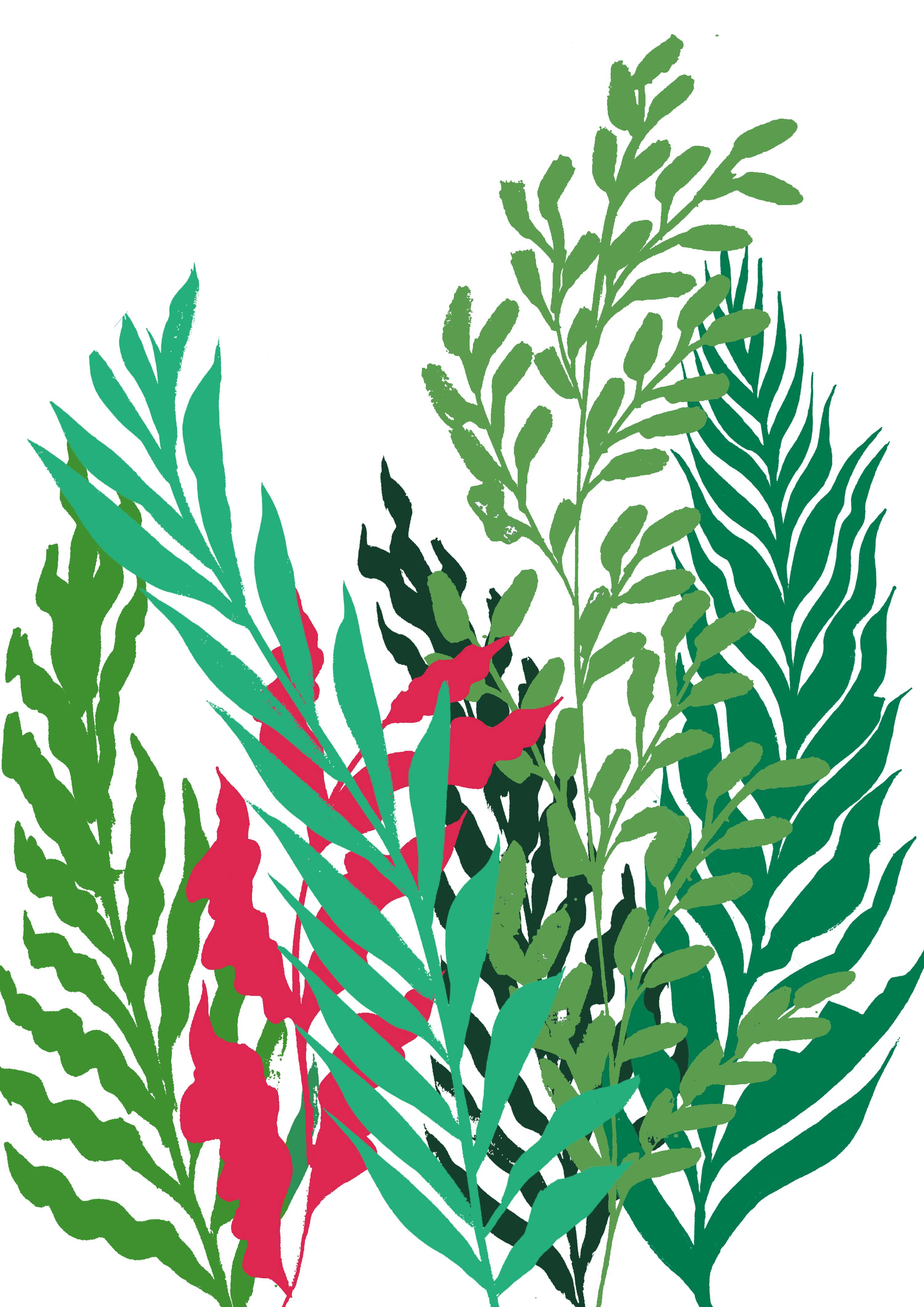 Tigerlily live project by Kamile Balciunaite