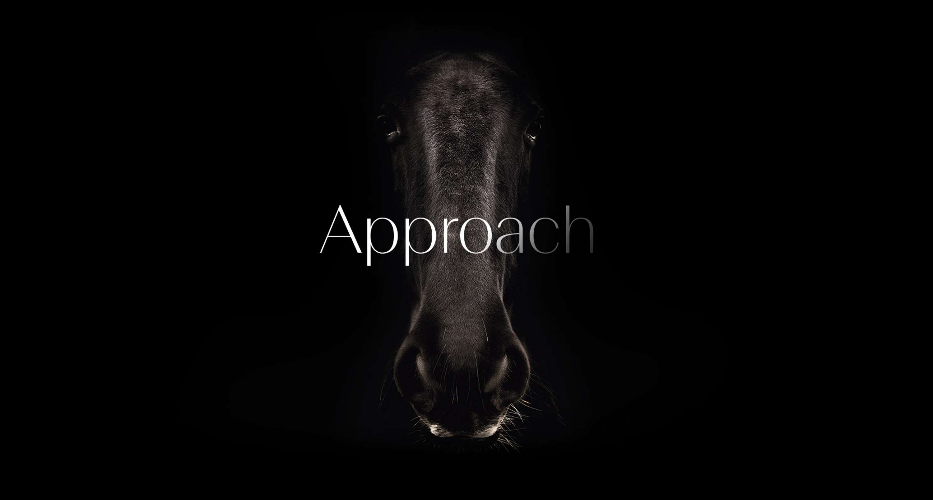 Approach by Nueker