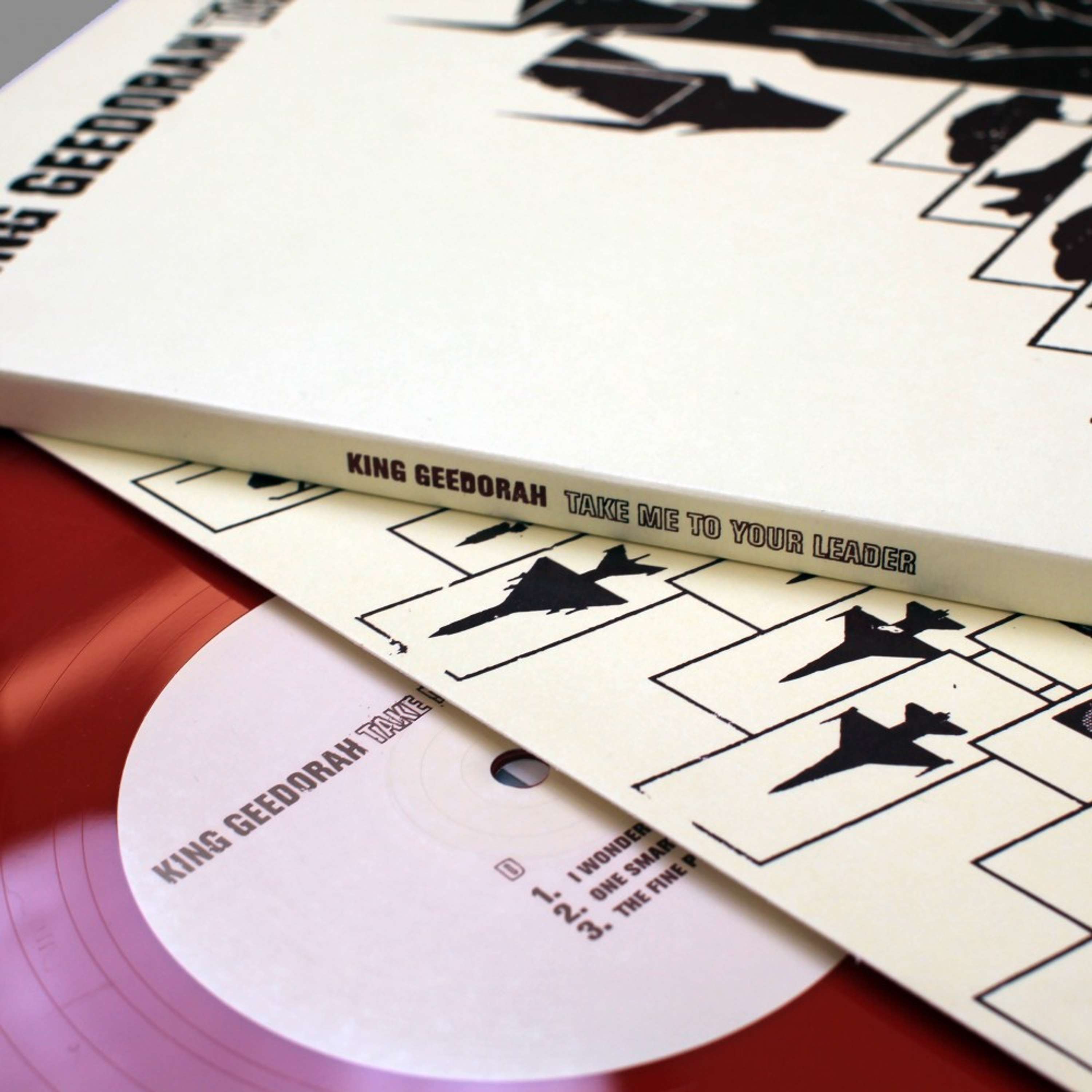 MF Doom Record Sleeve by Matt Duckett
