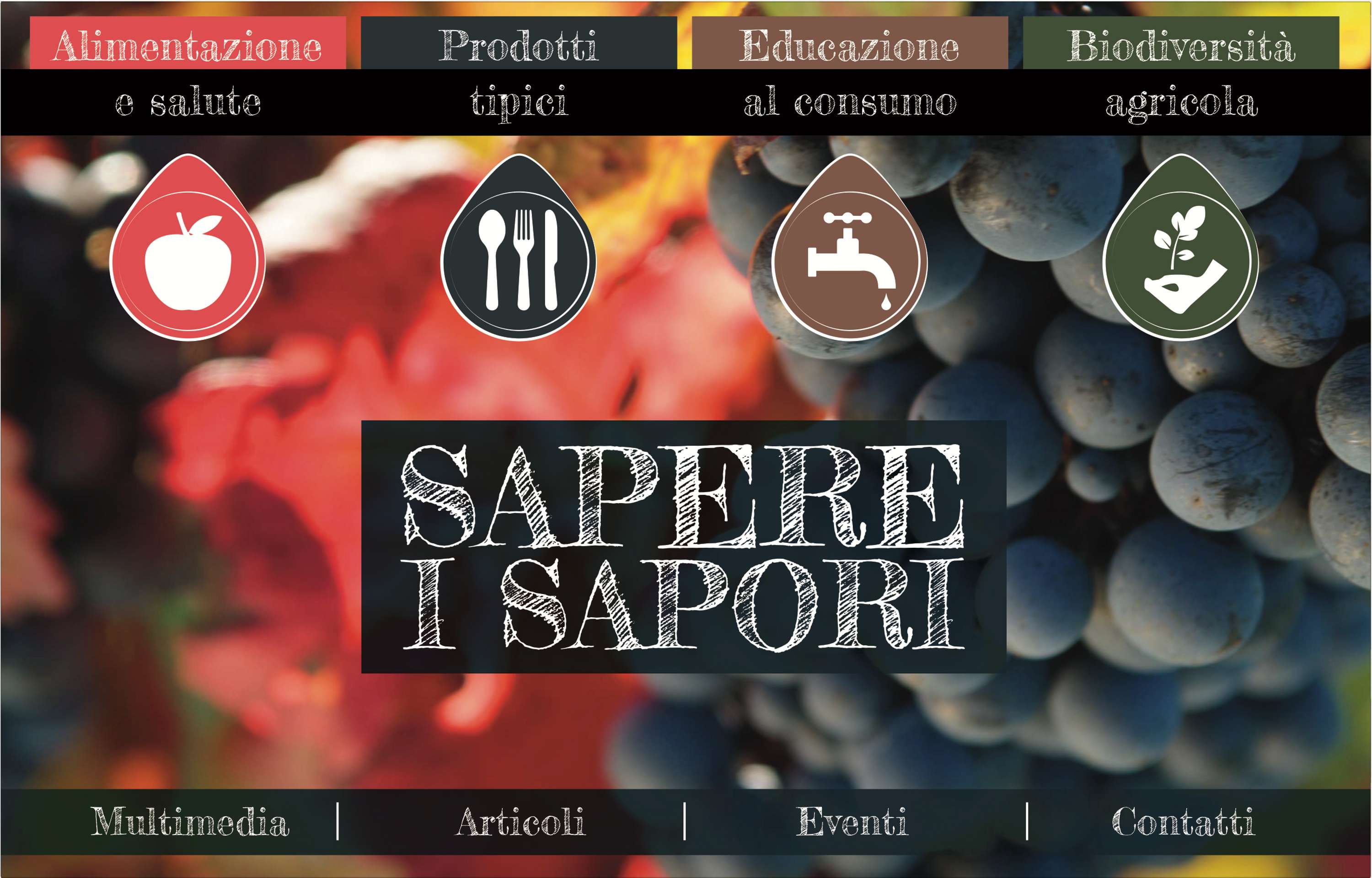 Website layouts by Martina Marotta