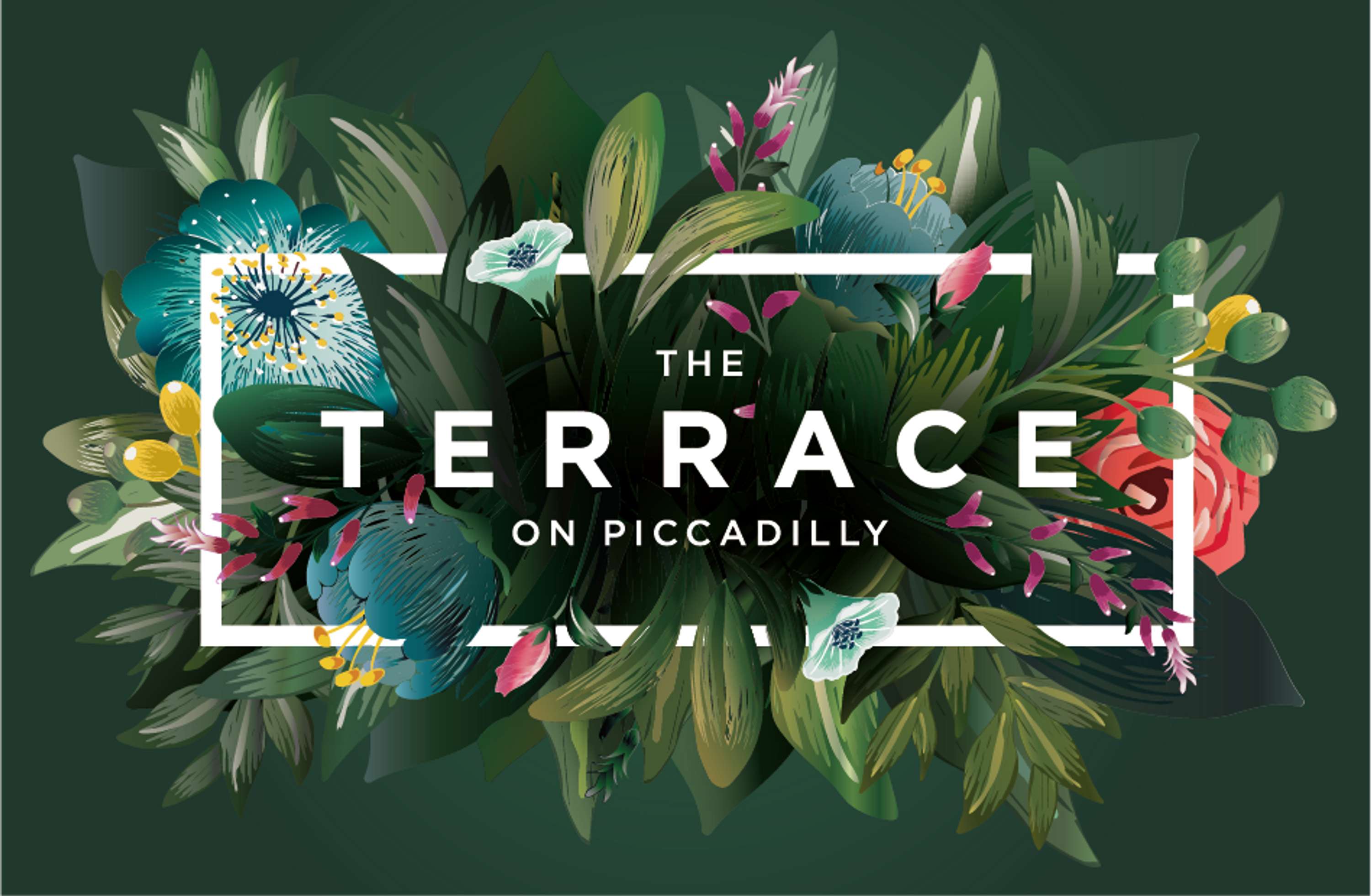 ReBranding by Gemma Walsh
