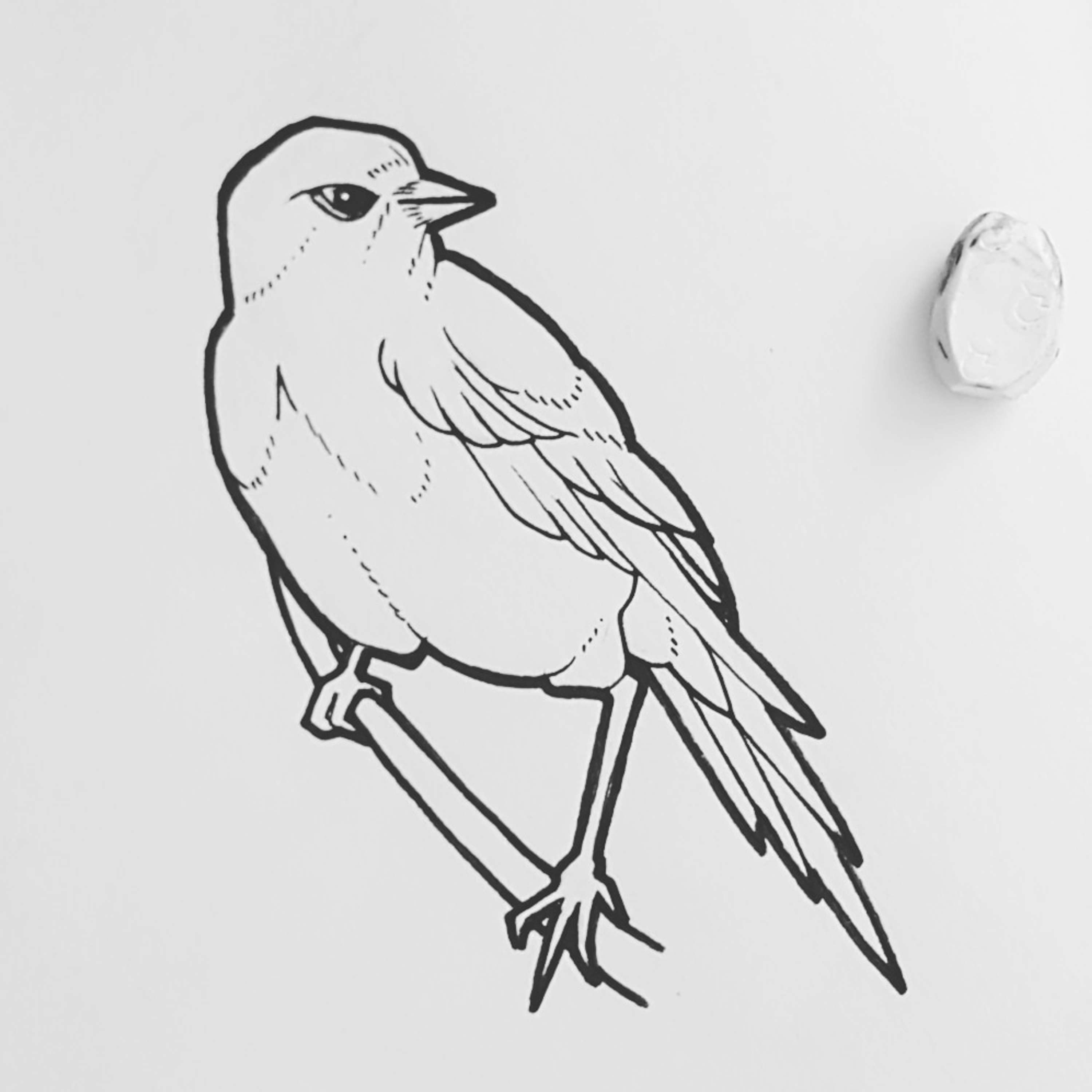 Doodles by Brad Garner