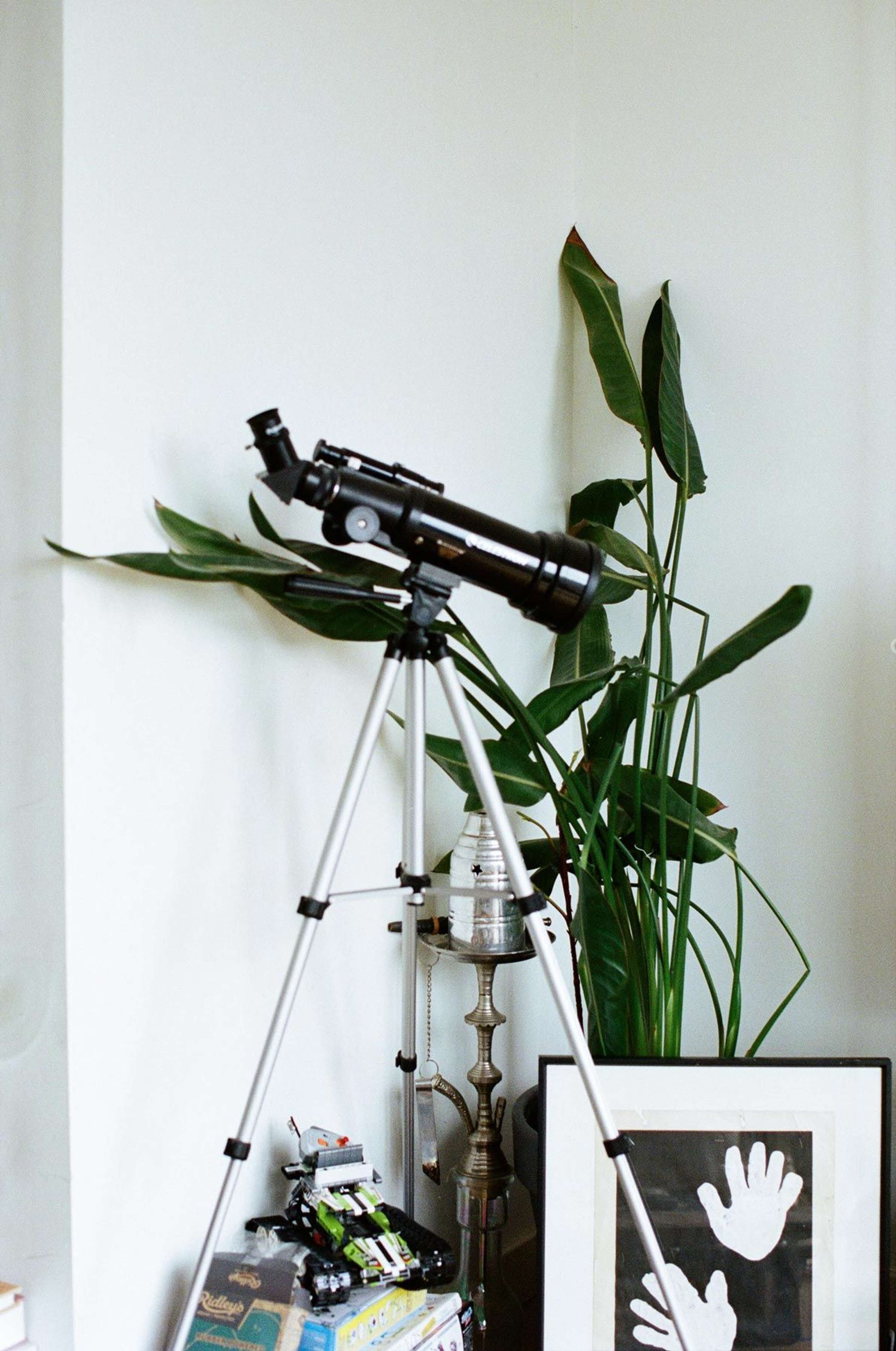 At Home With Timothy Han by Browns Fashion