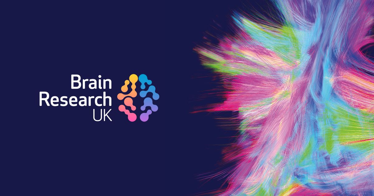 brain research uk project grant
