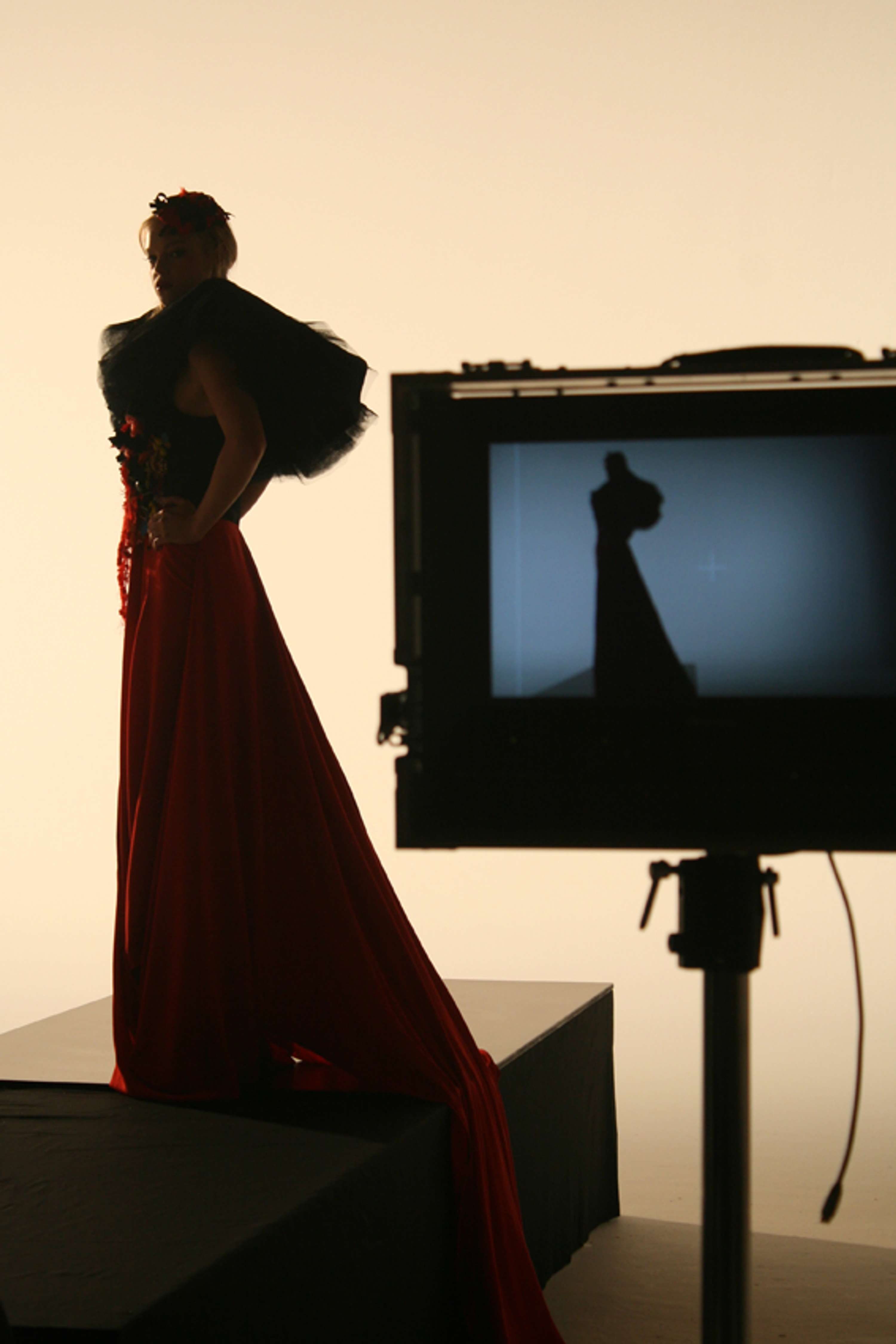 Project Runway - Recycled Costume for Advert by Davina Hawthorne